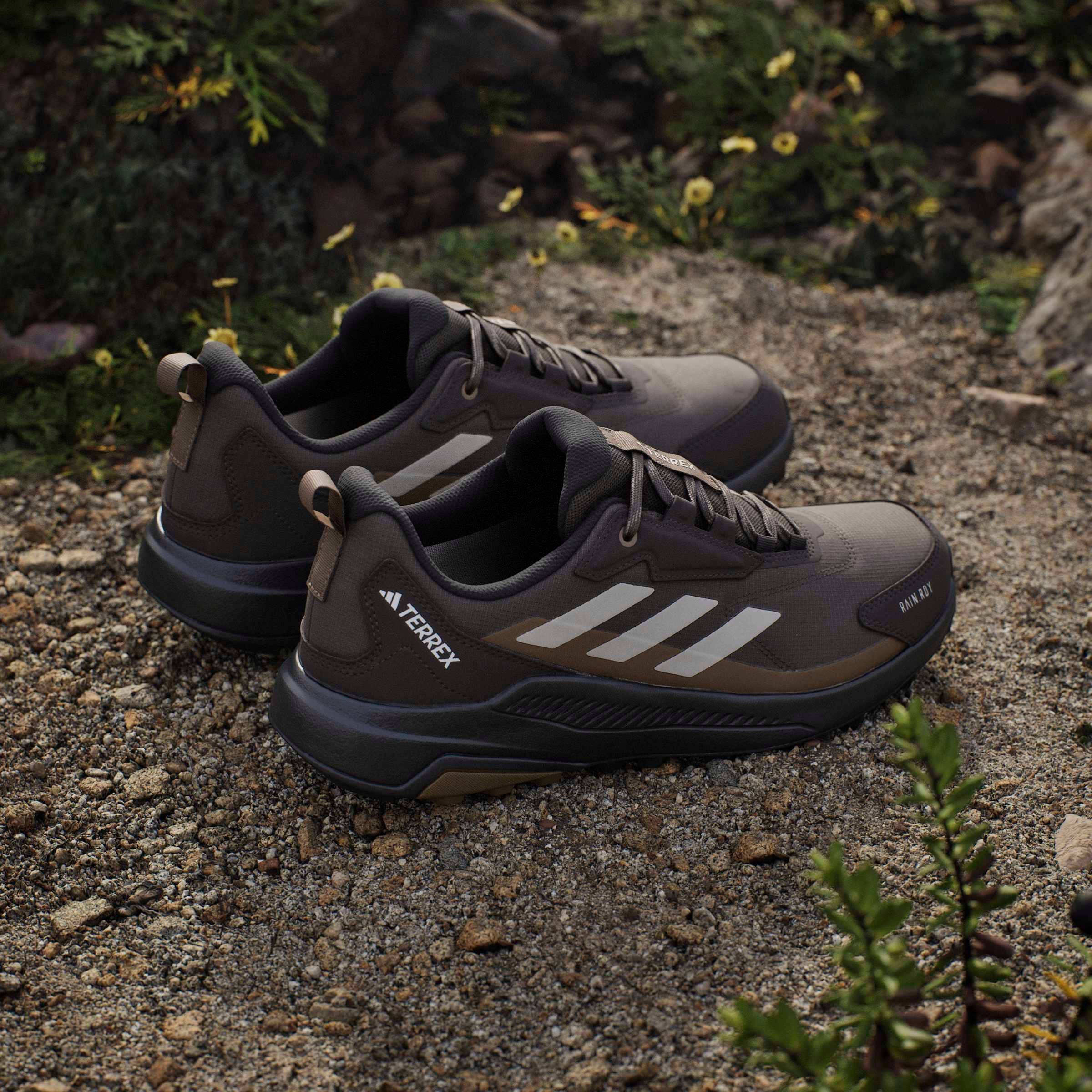 adidas TERREX Wanderschuh »ANYLANDER RAIN.RDY«  wasserdicht