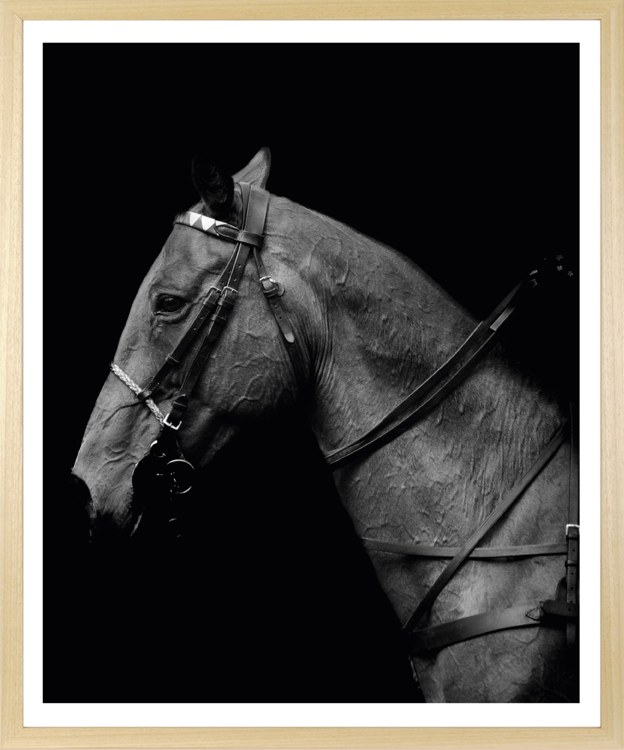 queence Bild mit Rahmen »Pferd , Pferdeprofil« Foto | Menschen | Pferde | Pferdebilder HD Premium Poster-Druck inkl. Echtholzrahmen in beige