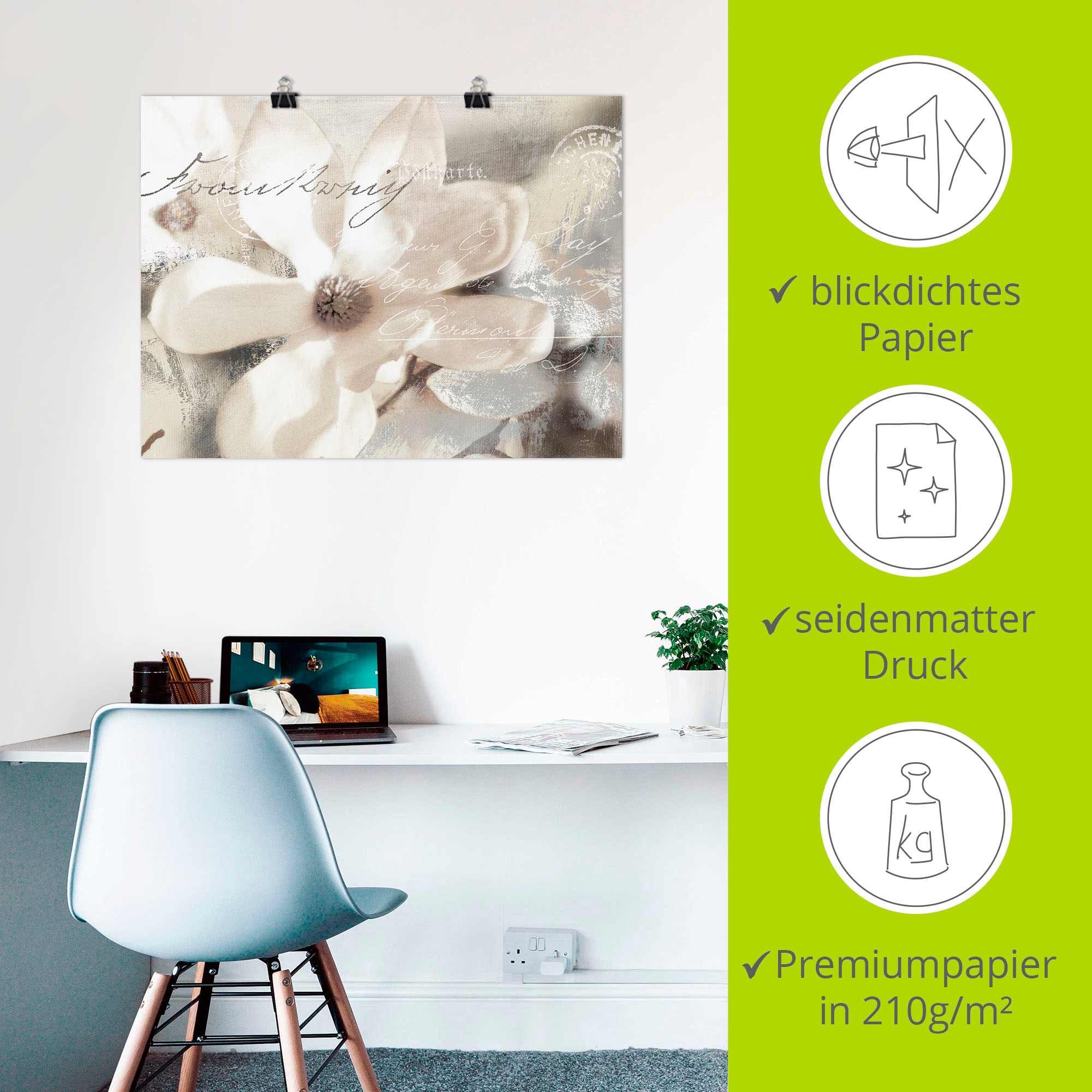 Artland Wandbild »Magnolie_Detail« Blumenbilder 1 Stk. tlg. als Alubild, Outdoorbild, Leinwandbild, Poster, Wandaufkleber