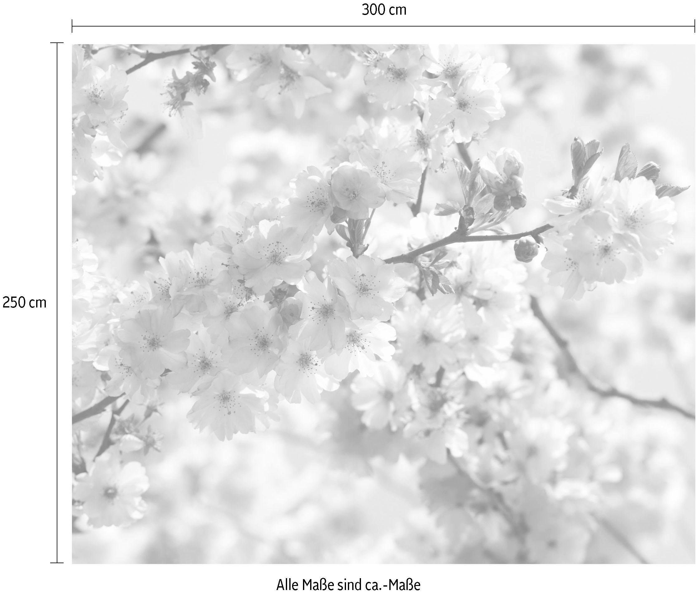 Komar Vliestapete »Digitaldruck Vlies - Spring - Größe 300 x 250 cm«, bedruckt, Wohnzimmer, Schlafzimmer