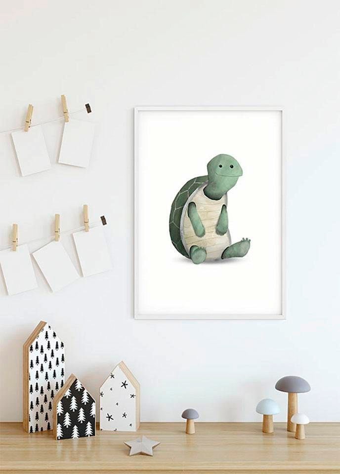 Komar Bild »Cute Animal Turtle«, Schildkröten, (1 St.), Wandbild zur Dekoration - ohne Rahmen
