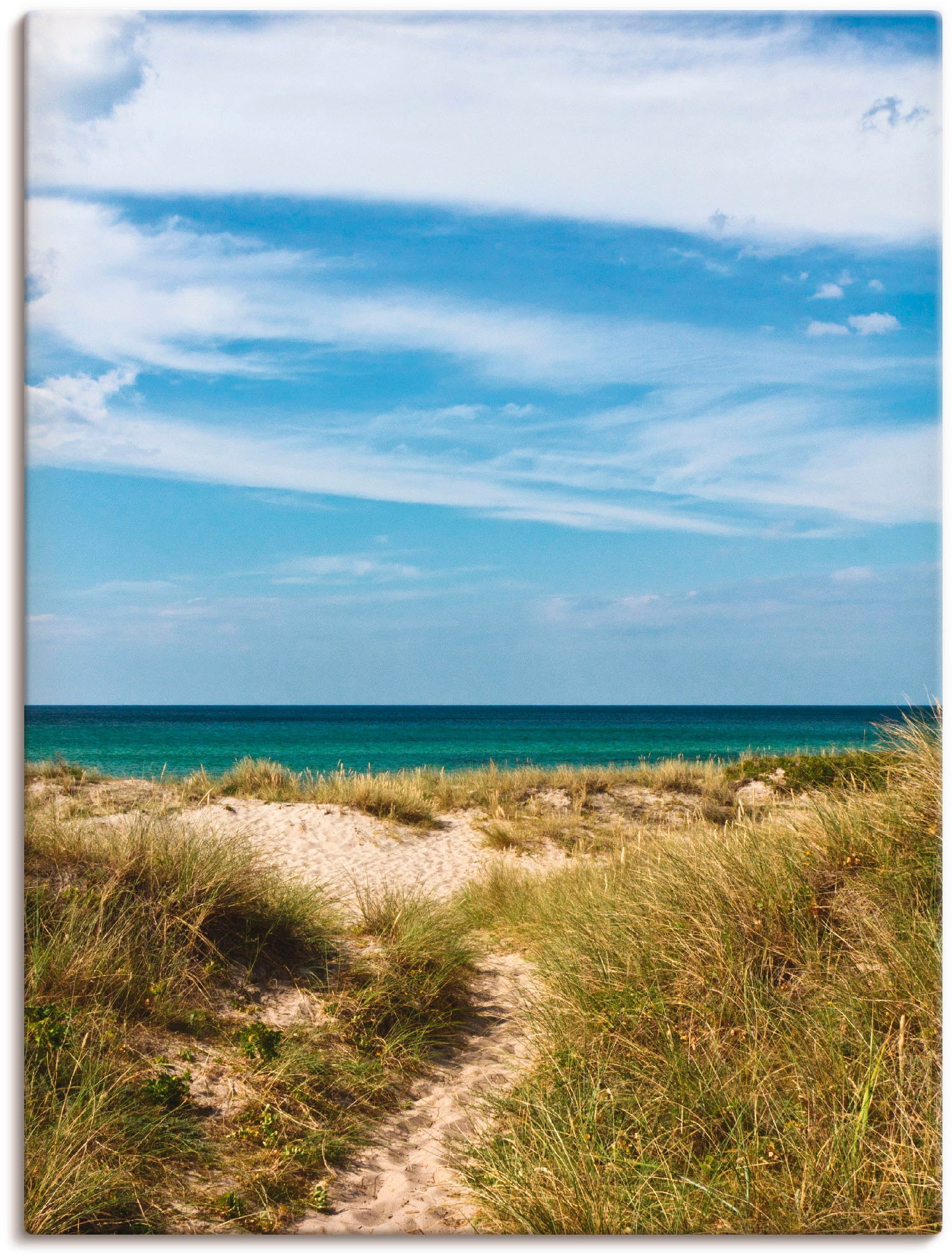 Artland Leinwandbild In den Dünen Dänemarks I Strand 1 St auf