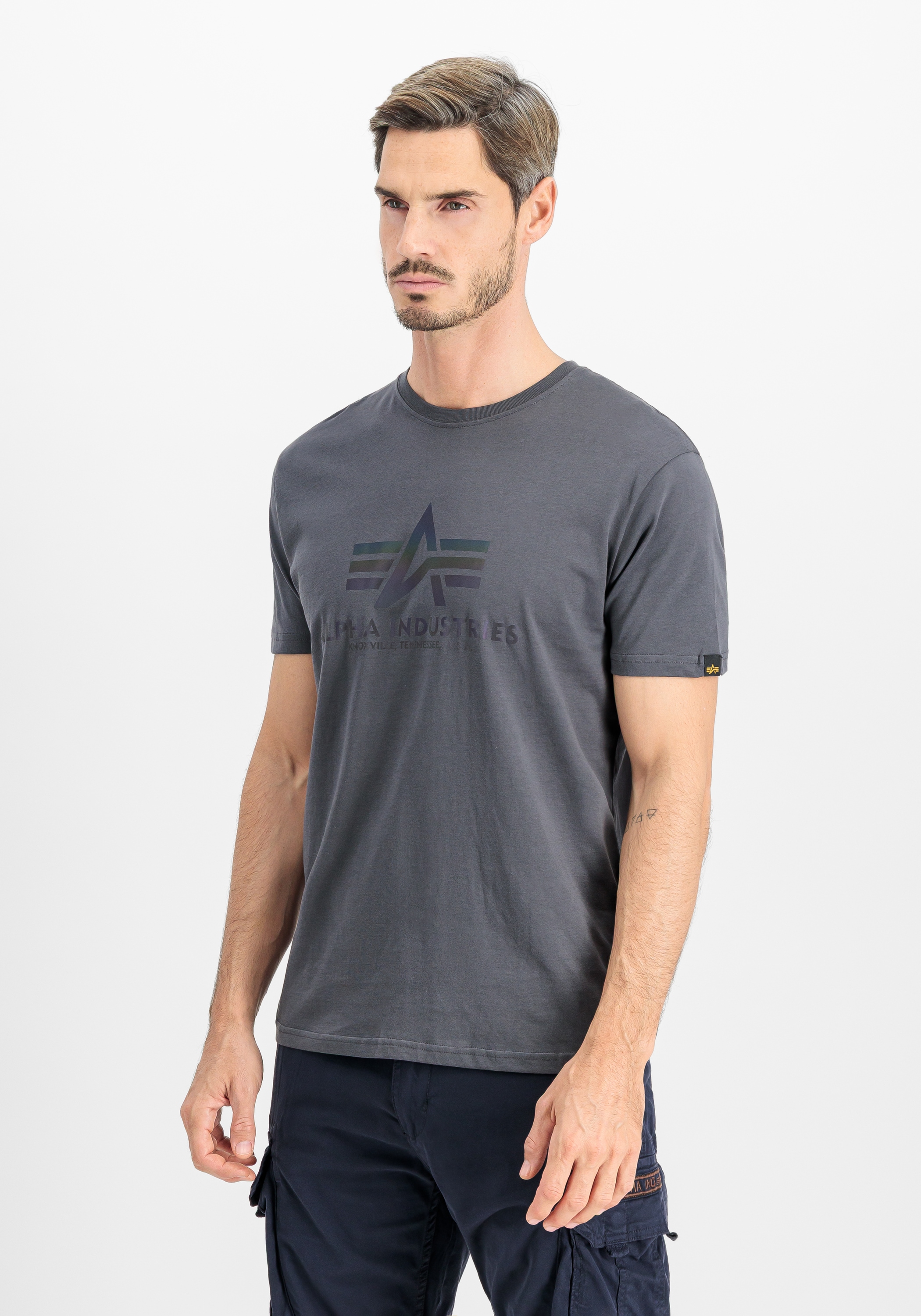 Alpha Industries T-Shirt »Basic T-Shirt BL Rainbow Ref.«