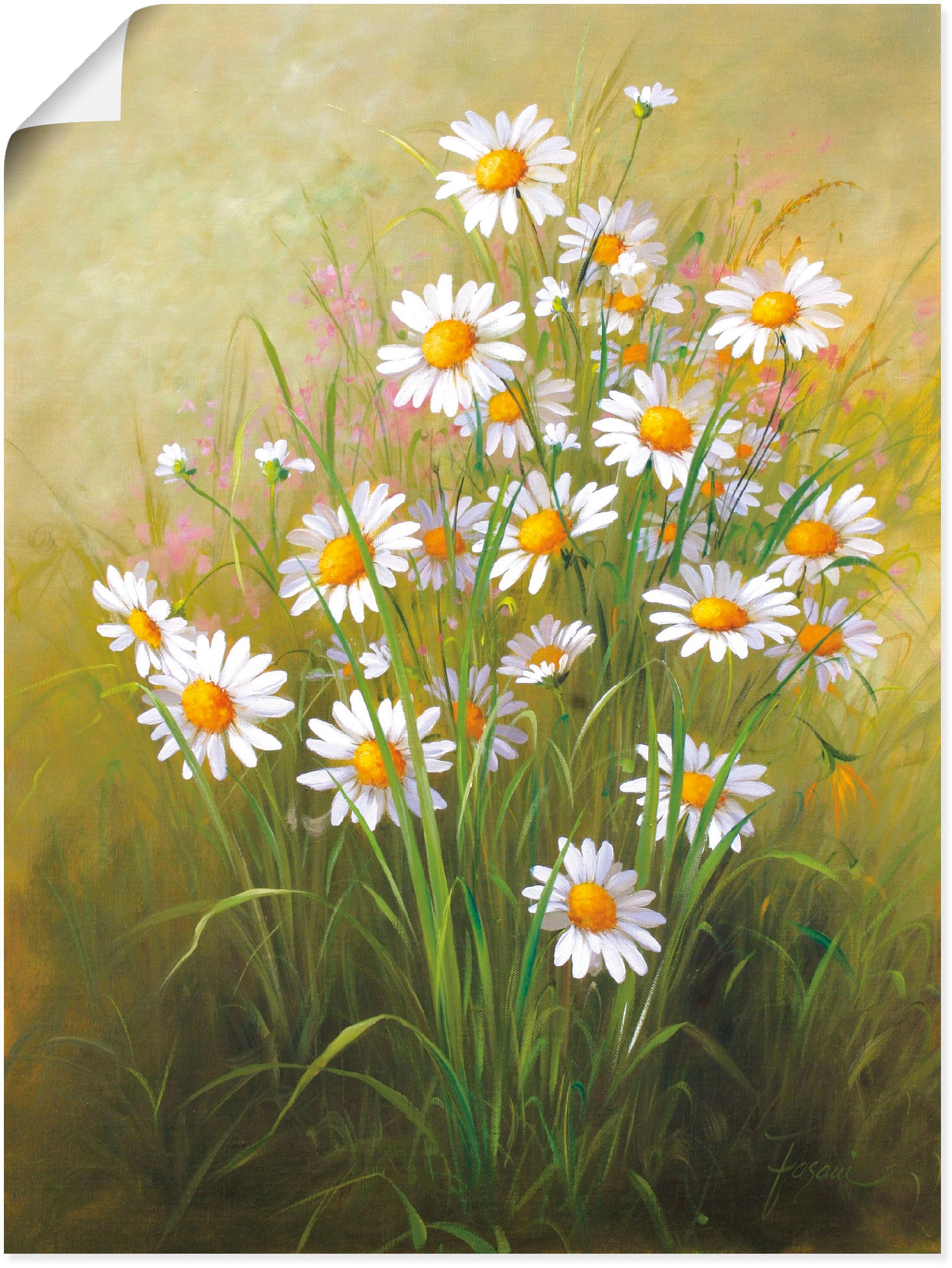 Artland Wandbild »Weiße Gänseblümchen«, Blumenbilder, (1 St.), als Alubild,  Leinwandbild, Wandaufkleber oder Poster in versch. Größen bestellen bei OTTO
