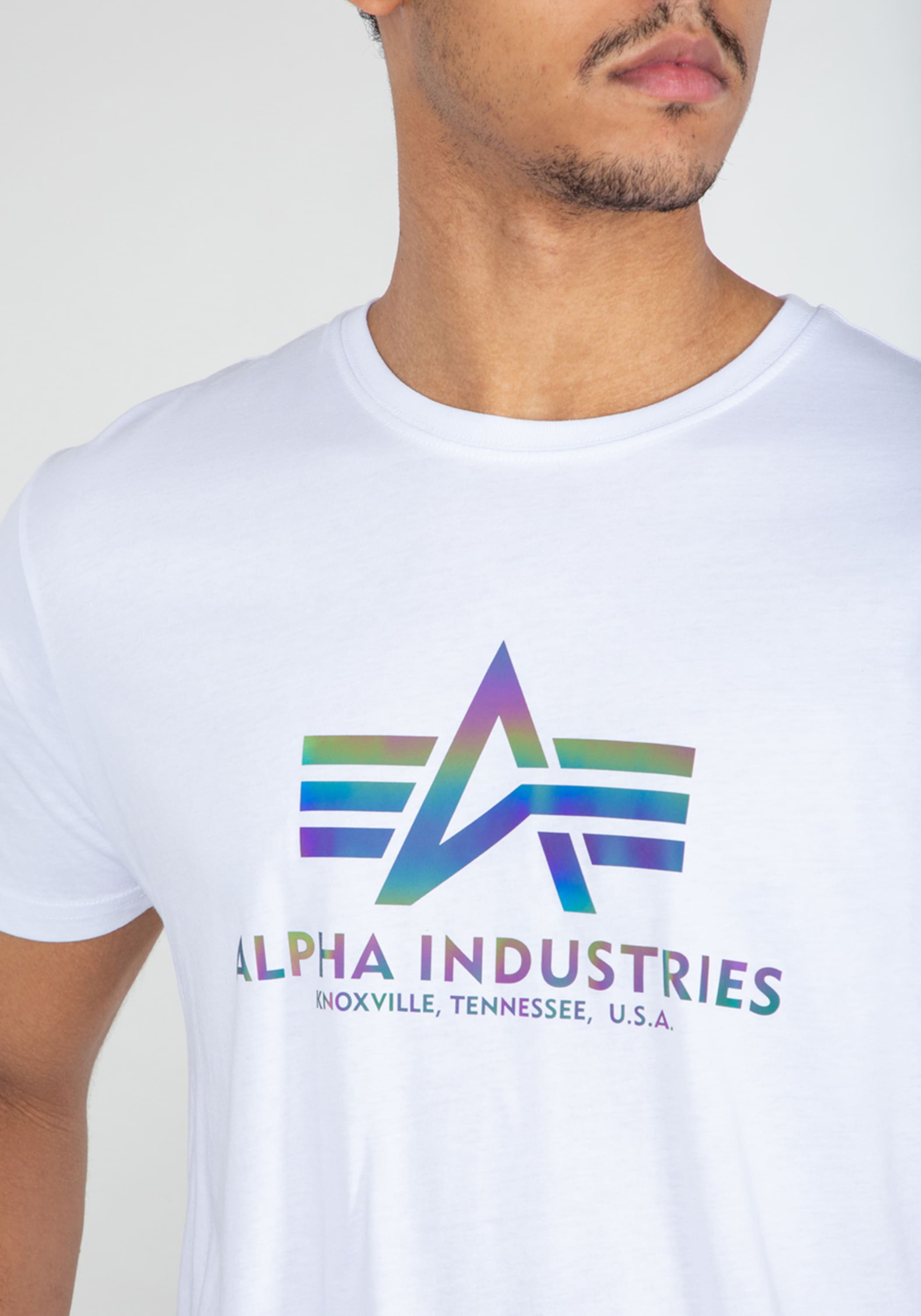 Alpha Industries T-Shirt »Basic T-Shirt BL Rainbow Ref. T-Shirt«