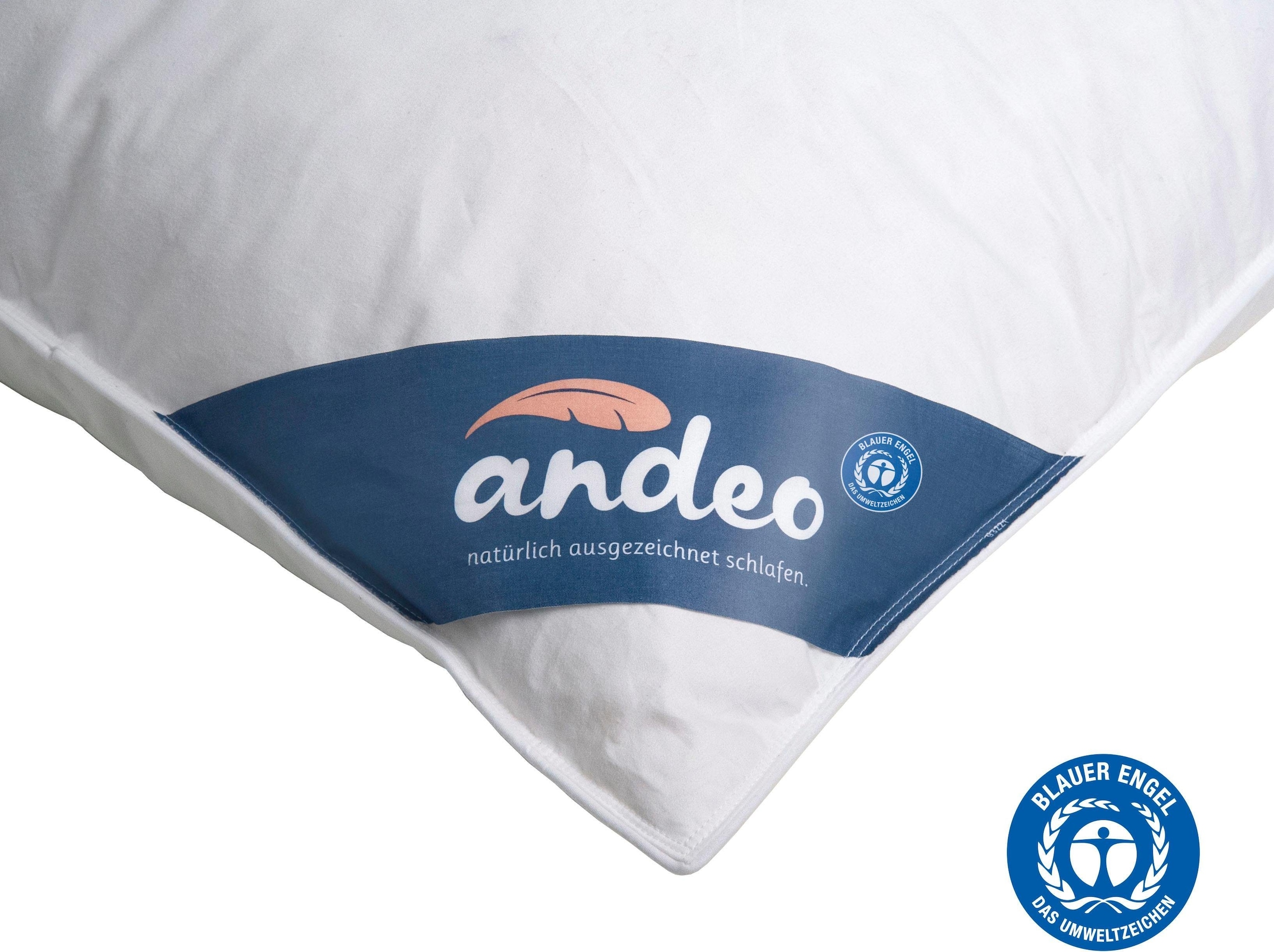 andeo Federkopfkissen »ANDEO« Füllung: 70% 'Federn & 30% Daune 1 Stk. tlg. NATÜRLICH AUSGEZEICHNET SCHLAFEN