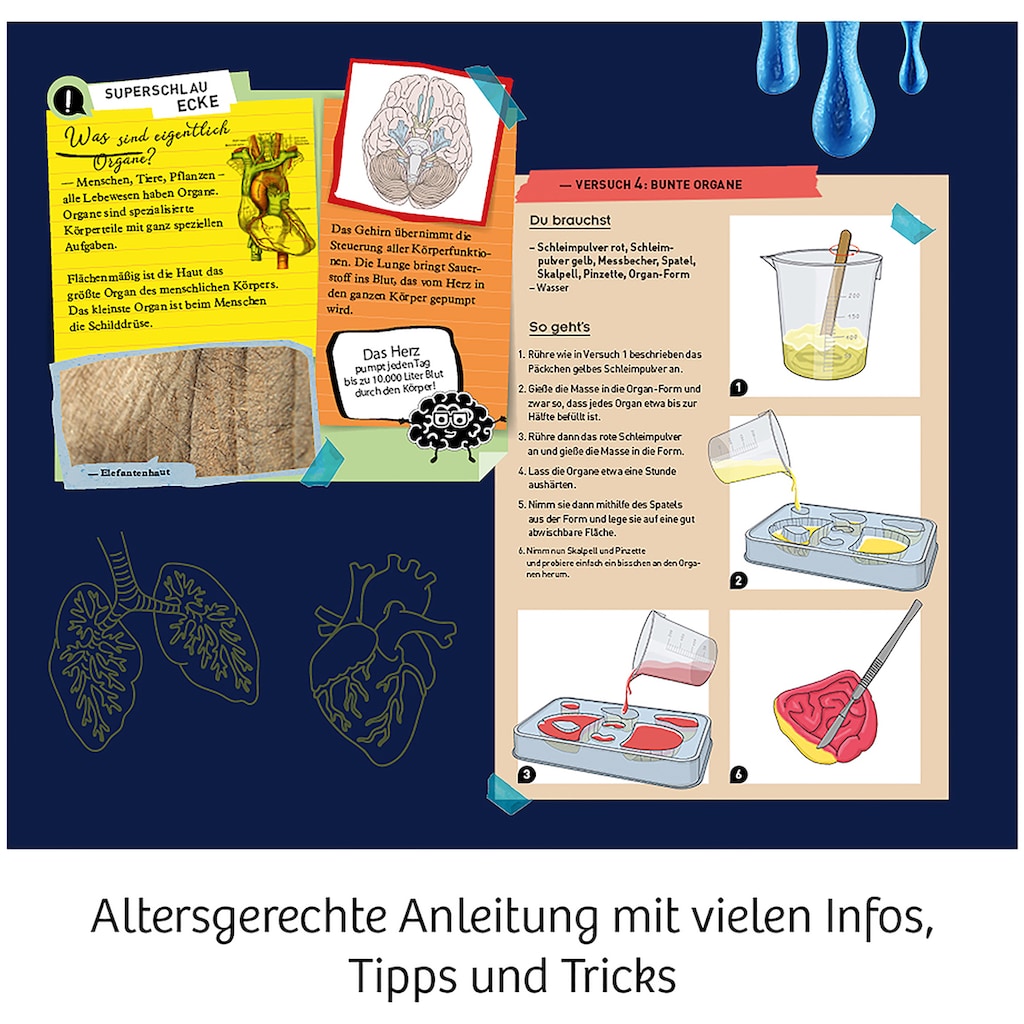 Kosmos Experimentierkasten »Fun Science Glibber-Organe«