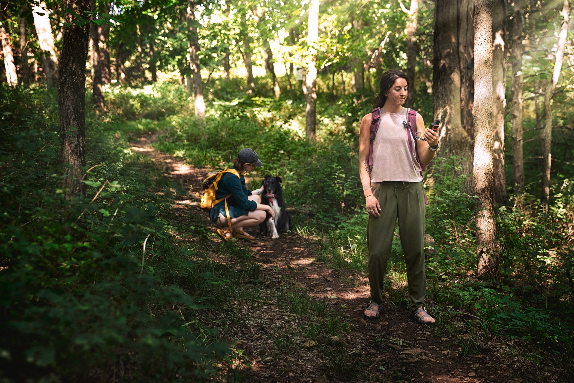 Garmin Wander-Navigationsgerät »eTrex Solar« ( )