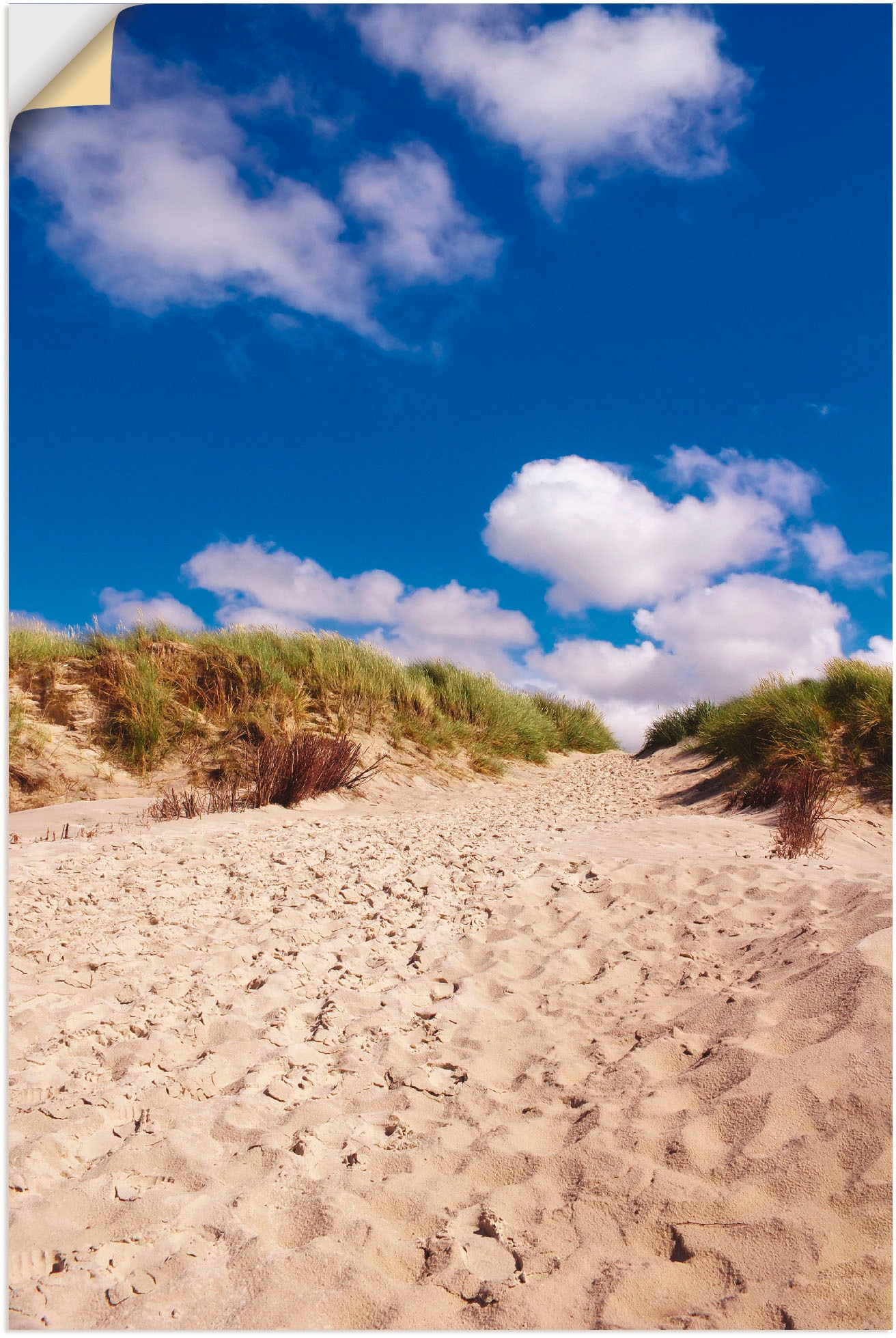 Artland Wandbild »Dünenweg als Wandaufkleber online versch. Küste, bei Amrum«, Größen in - Insel St.), (1 Poster OTTO Alubild, oder Leinwandbild