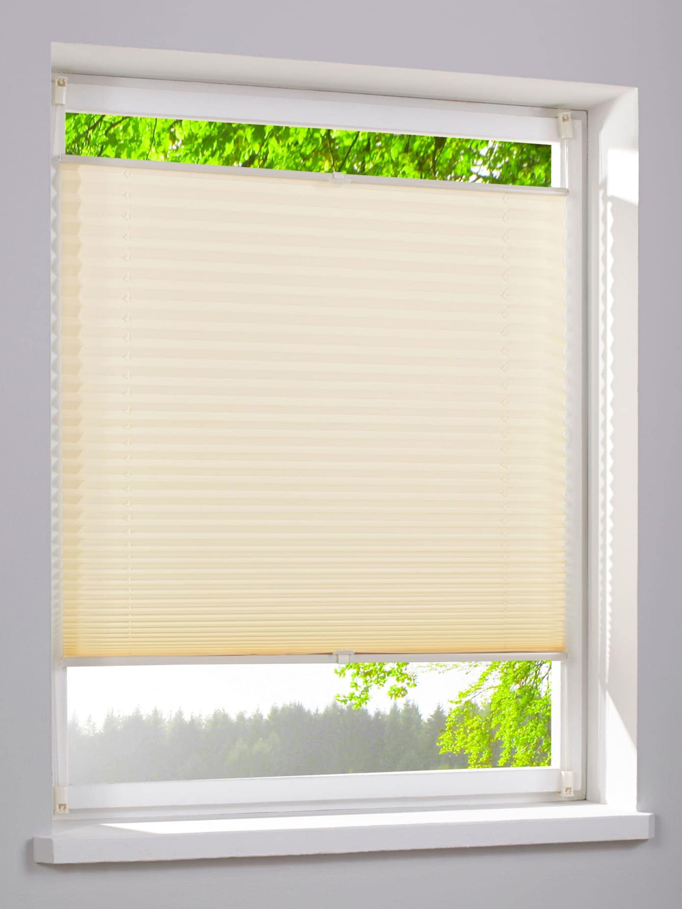 heine home Jalousie