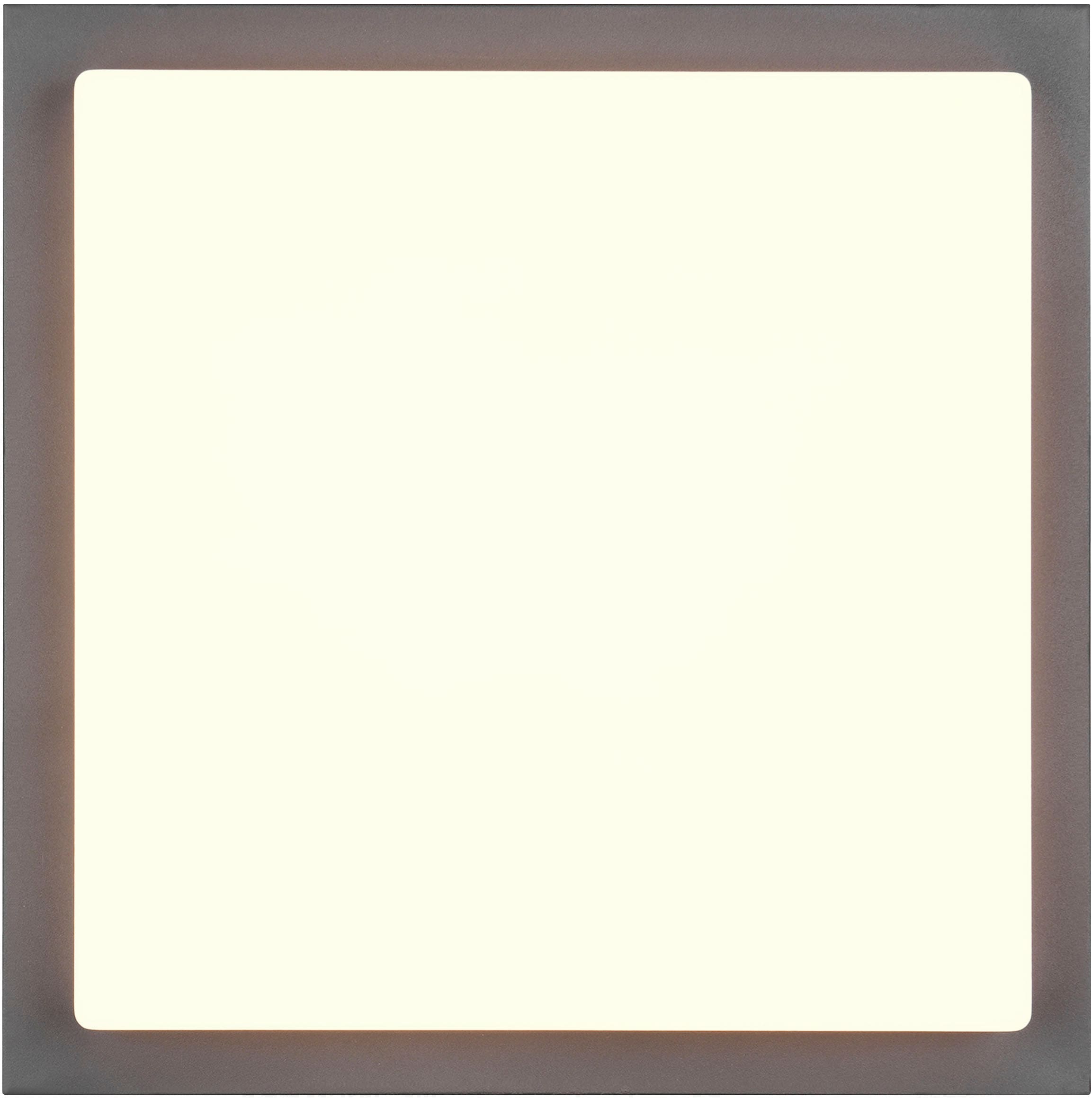 TRIO Leuchten LED Außen-Wandleuchte »BERMEJO, Hausnummer Leuchte mit Bewegungsmelder IP54 Fassadenleuchte« LED-Board 1 Stk. Farbwechsler | warmweiß - kaltweiß CCT Lichtfarbe einstellbar 2300-4000K, 1450 Lumen 14W Ø 30cm