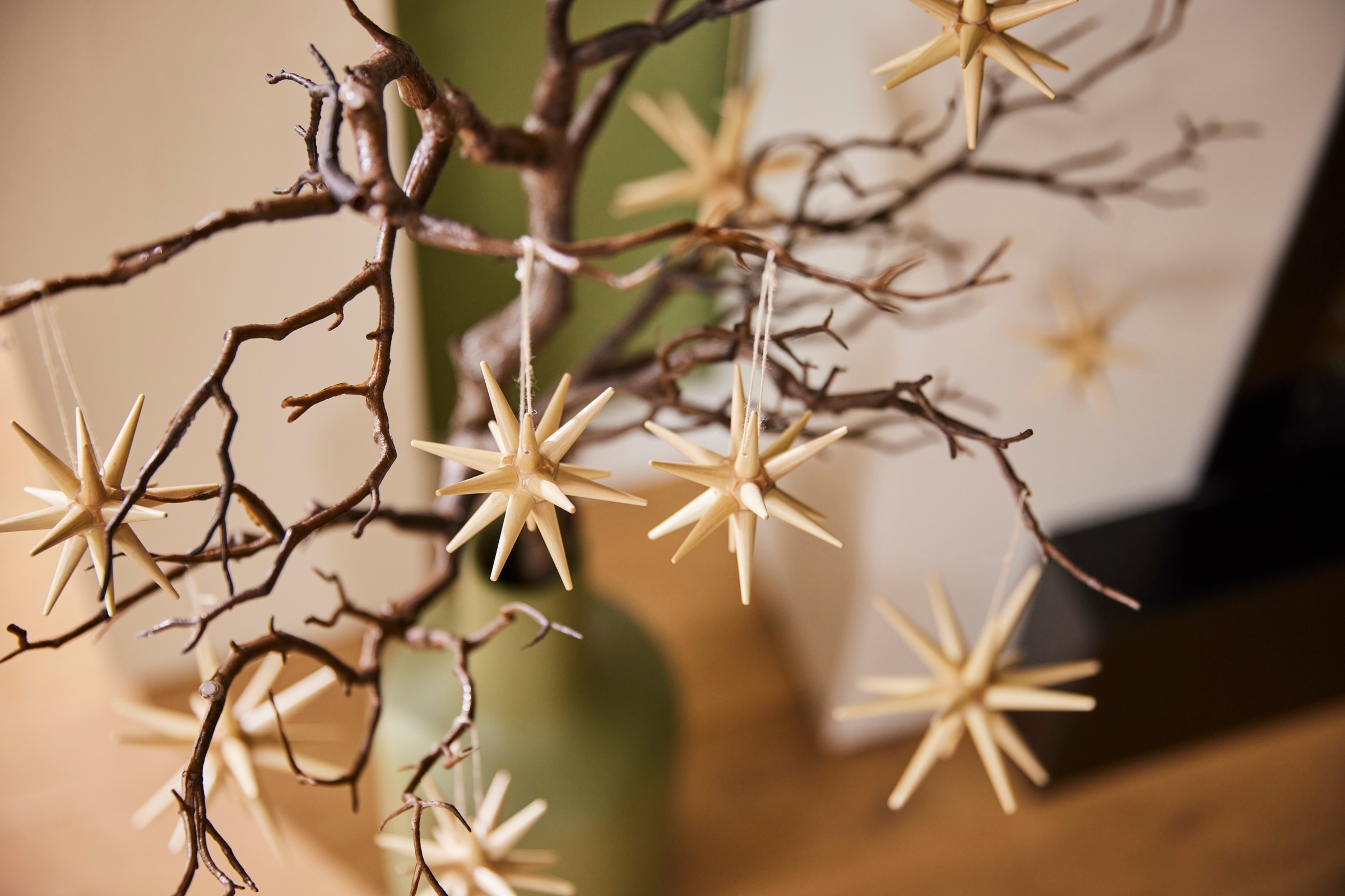 Albin Preissler Christbaumschmuck »Weihnachtsdeko, Christbaumschmuck«, (Set, 4 tlg.)