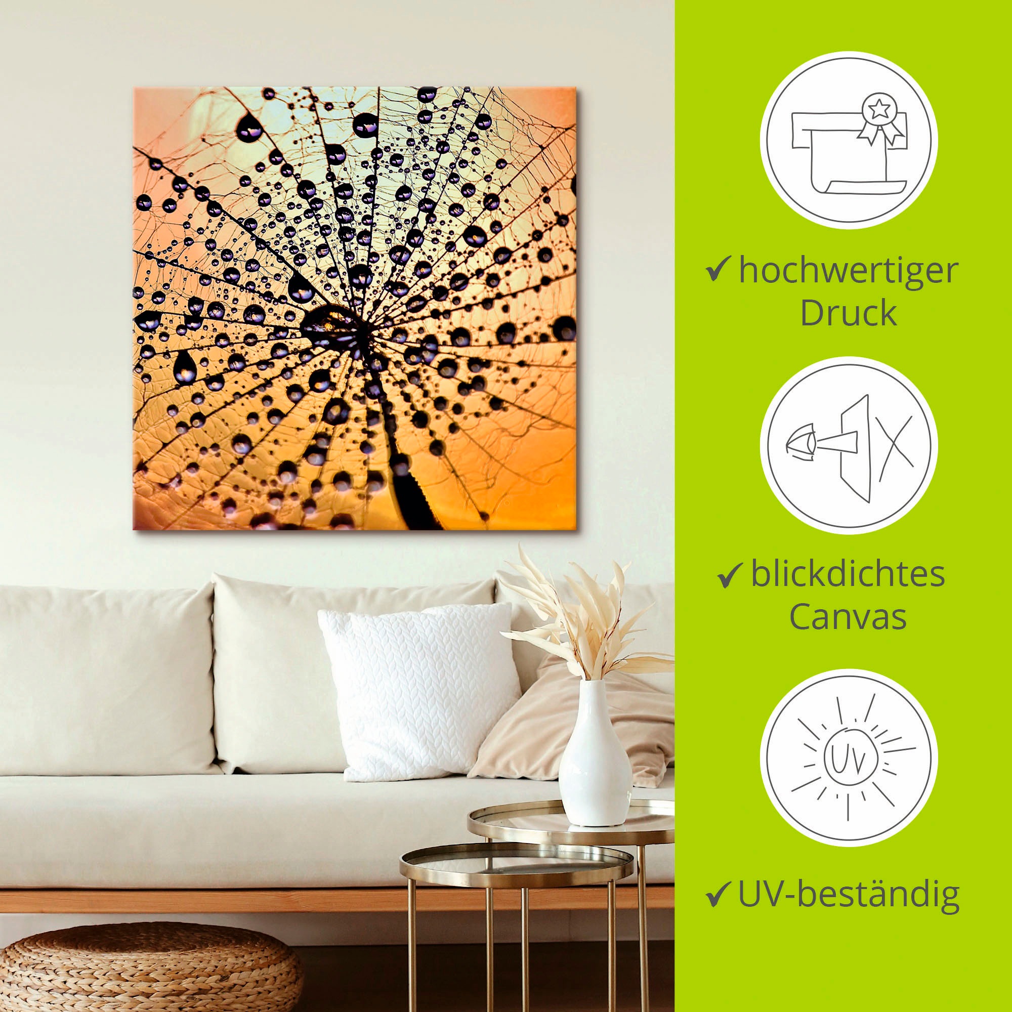 Artland Wandbild »Pusteblume Tröpfchenfang«, Blumen, (1 St.), als Leinwandbild, Wandaufkleber in verschied. Größen