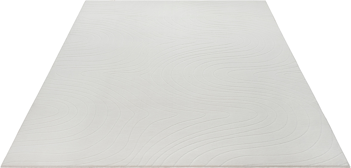 the carpet Teppich »Rio« rechteckig