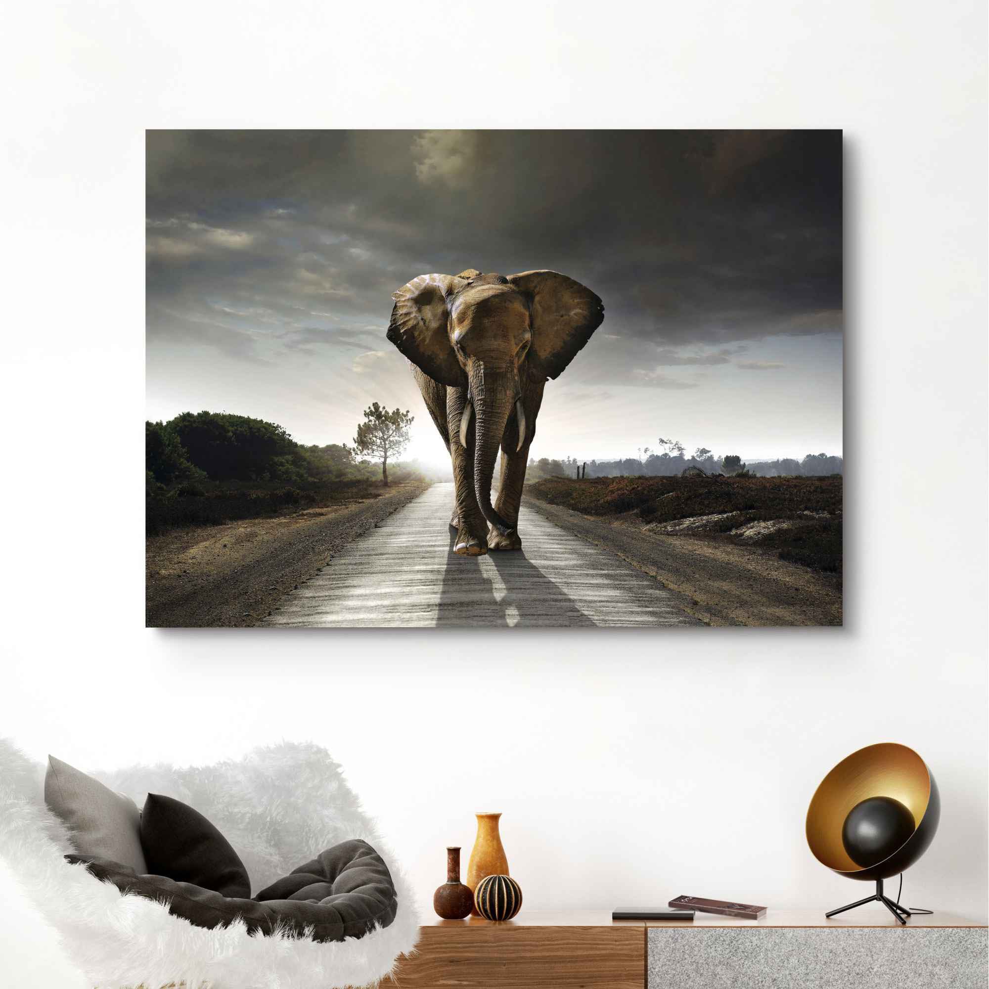 Reinders! Wandbild Elefant Tiermotiv kaufen (1 im OTTO Natur«, - Shop - St.) »Elefantenkönig Online