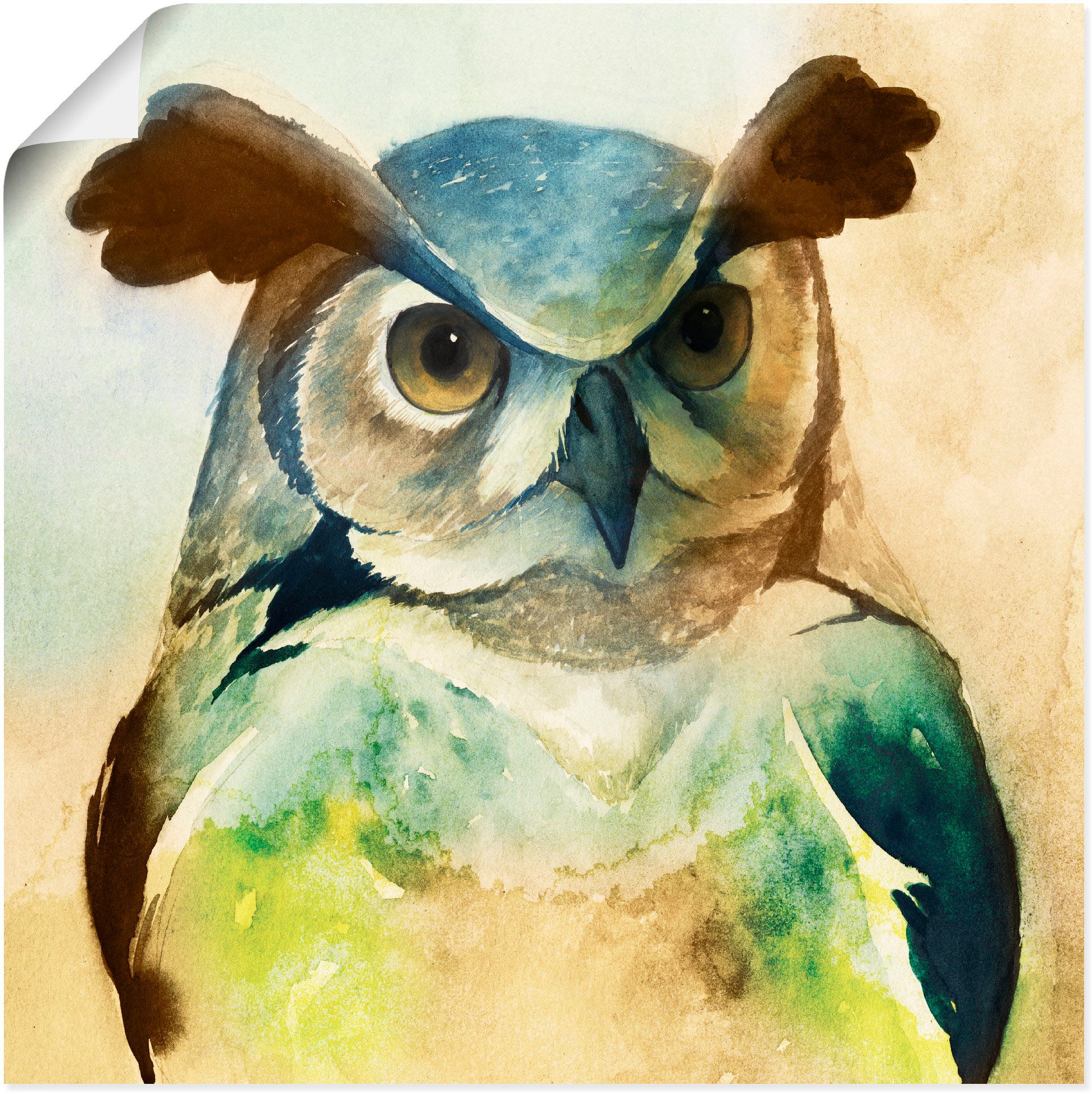 Artland Wandbild »Eule II«, Vögel, (1 St.), in vielen Größen & Produktarten - Alubild / Outdoorbild für den Außenbereich, Leinwandbild, Poster, Wandaufkleber / Wandtattoo auch für Badezimmer geeignet