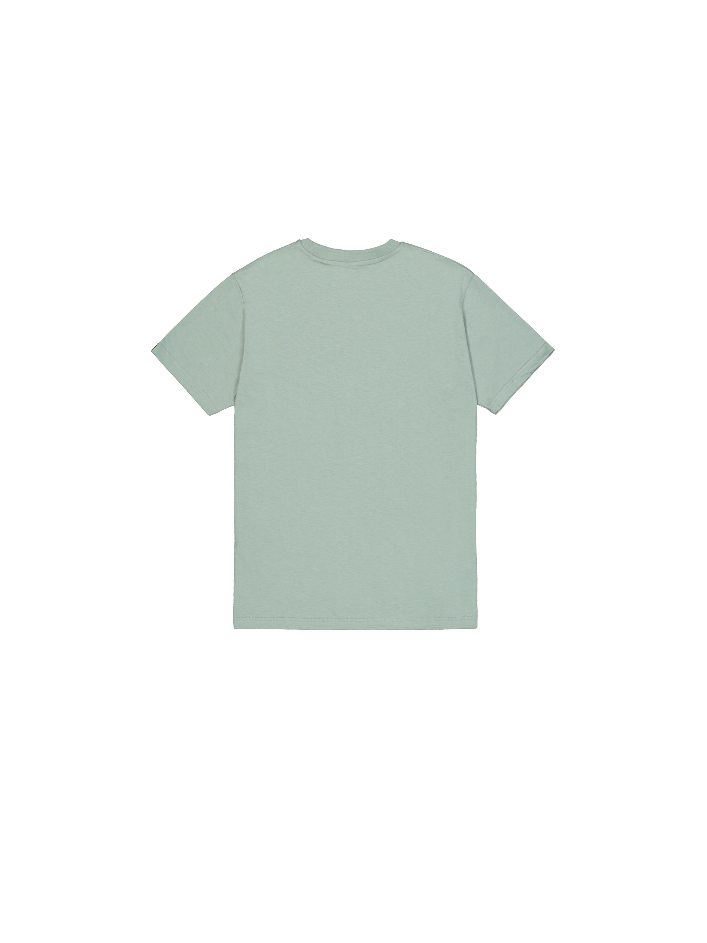 Alpha Industries Rundhalsshirt »BASIC T SMALL LOGO« Baumwolle, regular fit