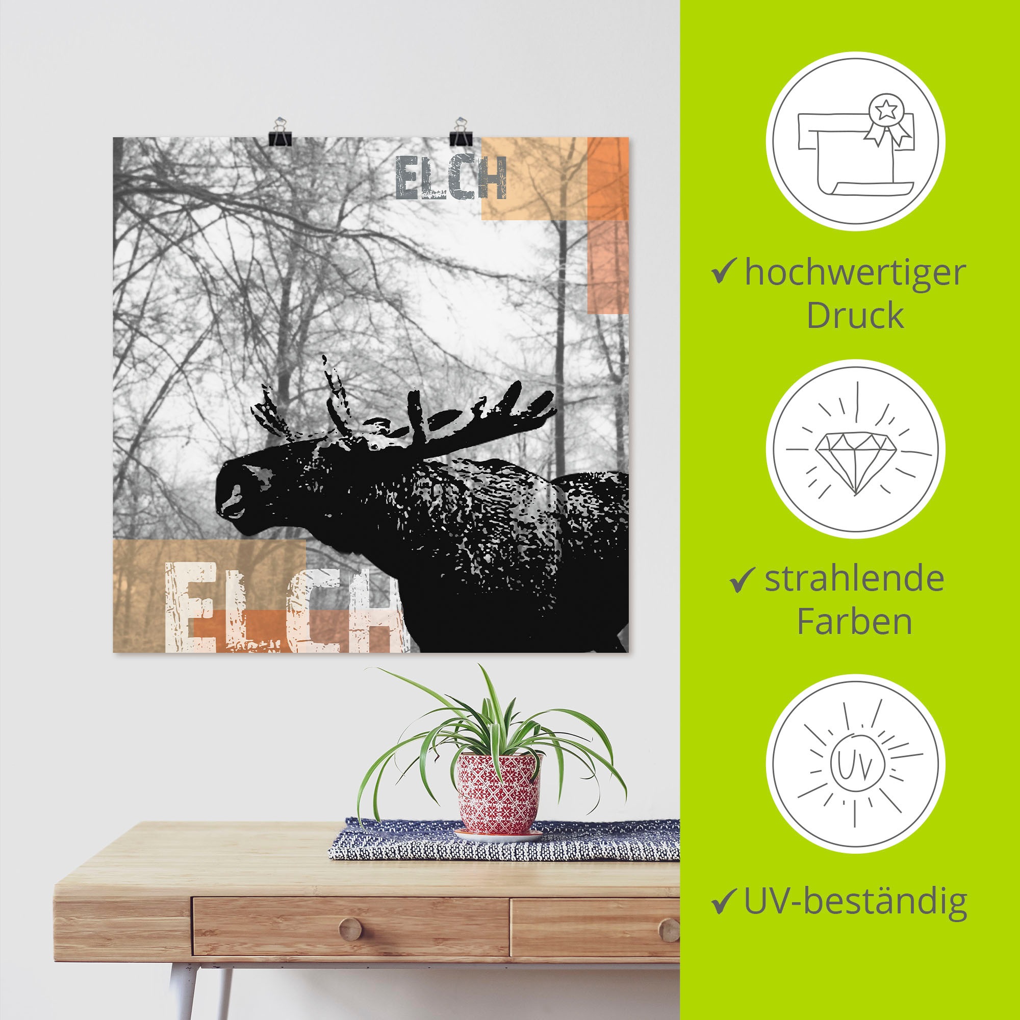 Artland Poster »Elch«, Wildtiere, (1 St.), als Alubild, Leinwandbild, Wandaufkleber oder Poster in versch. Größen