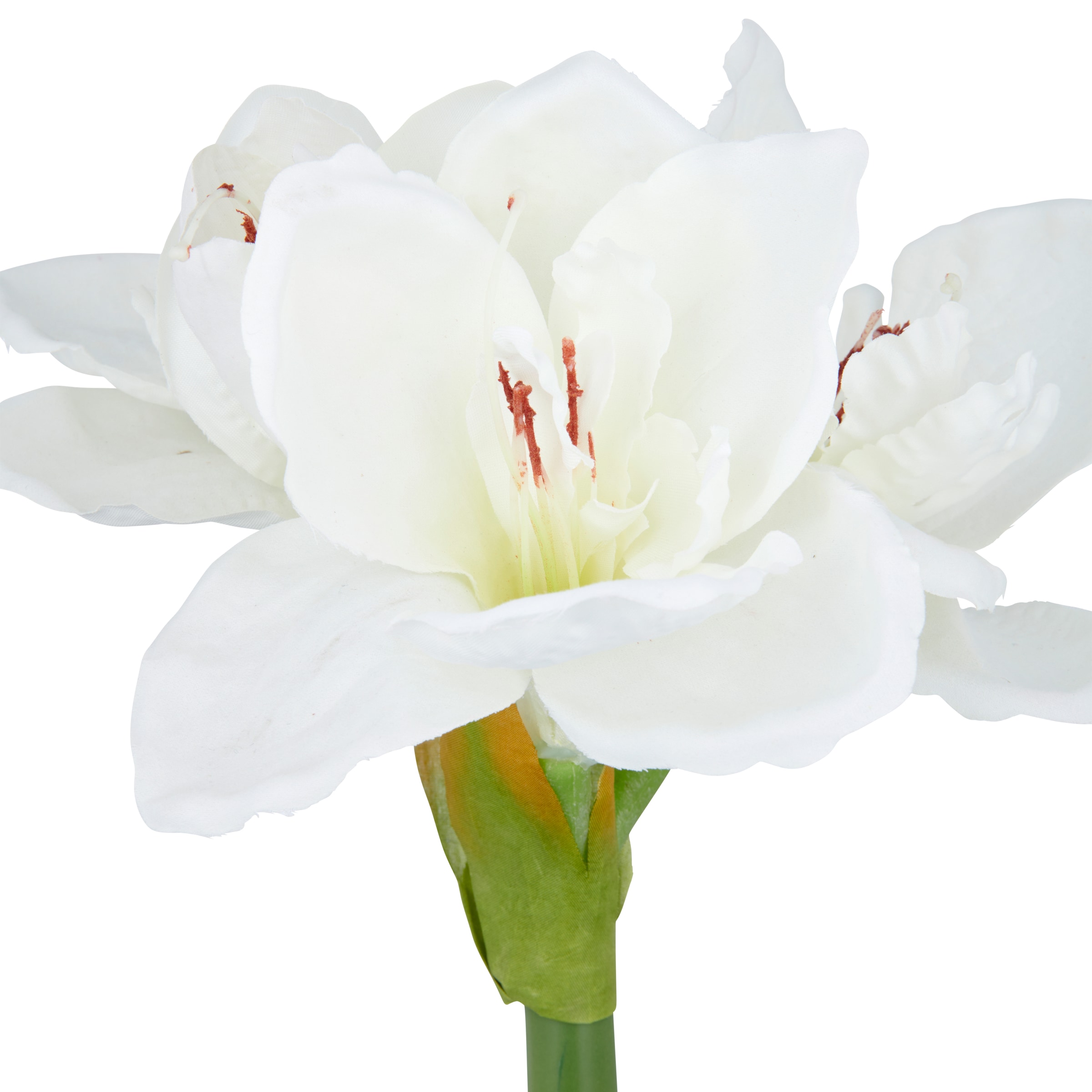 Creativ green Kunstblume »Amaryllis«