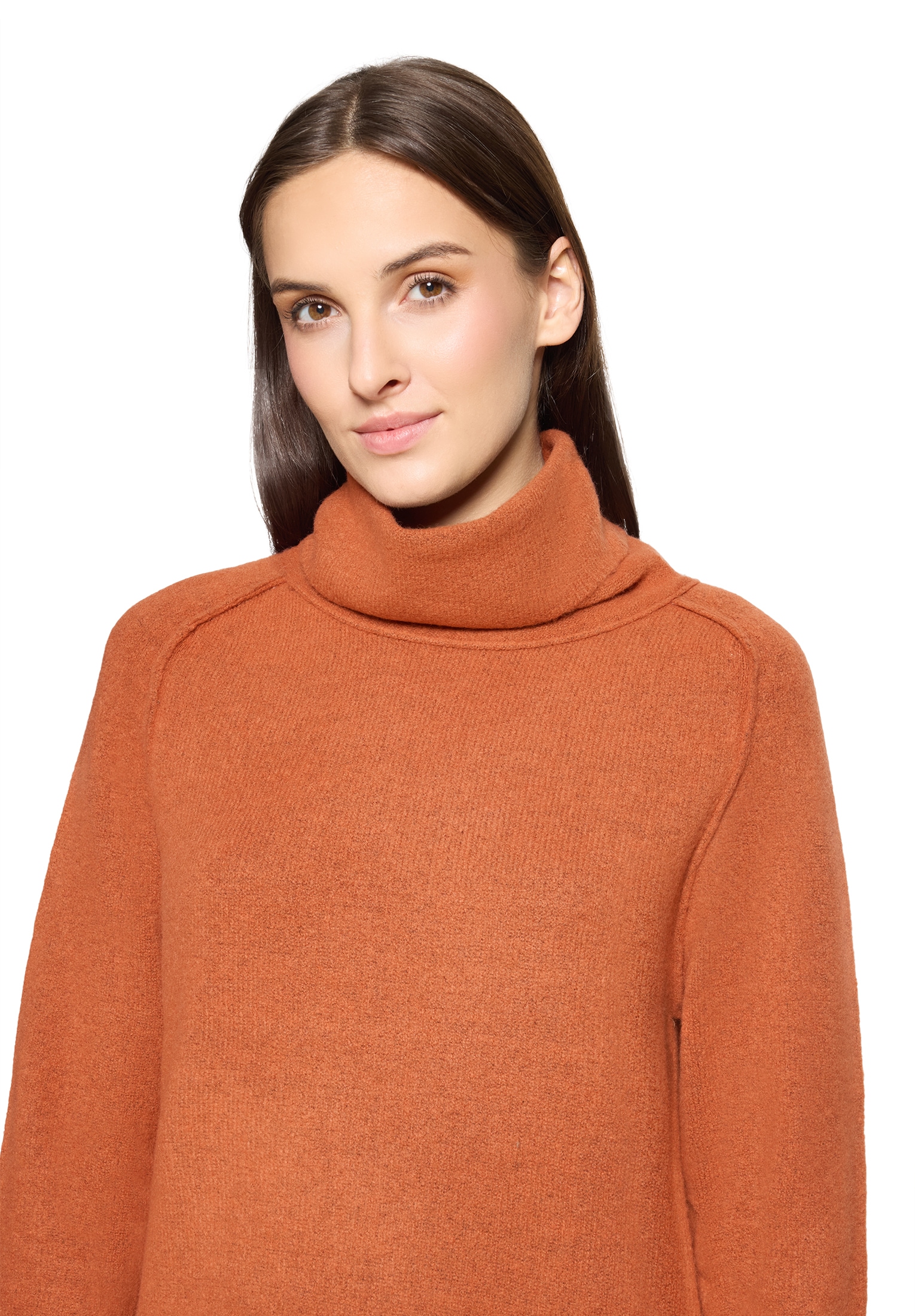 Cartoon Strickkleid »Strickkleid mit Turtle Neck«