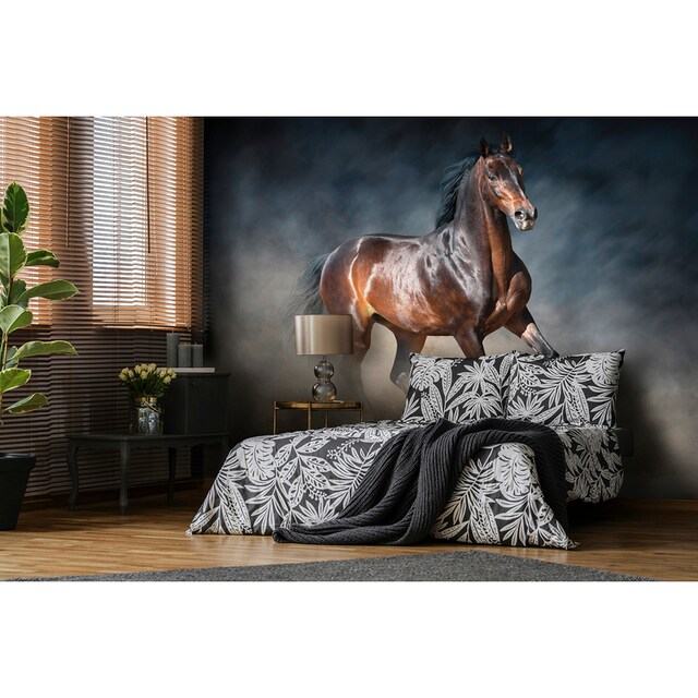 Consalnet Vliestapete »Galoppierendes Pferd«, Motiv online kaufen bei OTTO