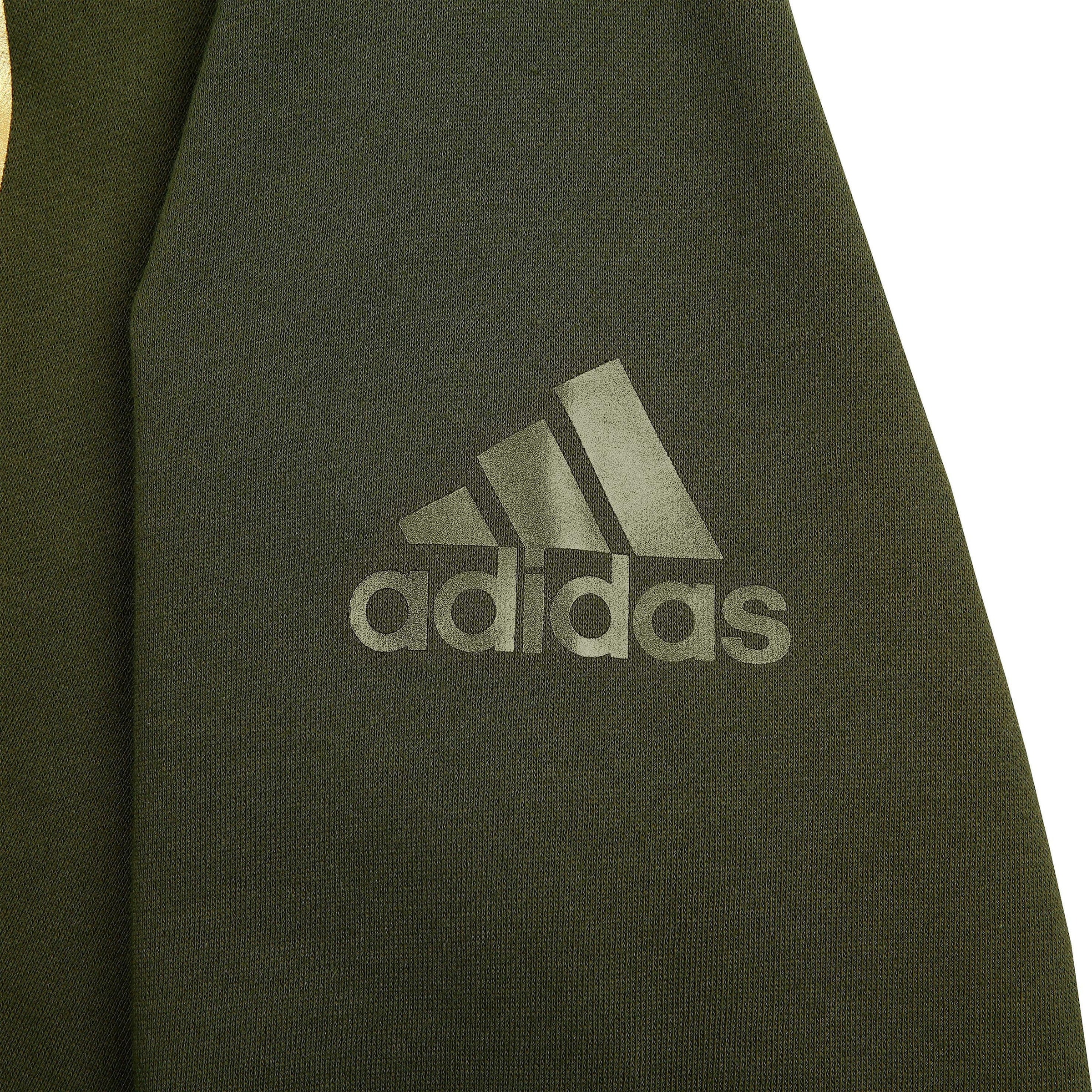 adidas Performance Hoodie »Hoody Combat Sports«