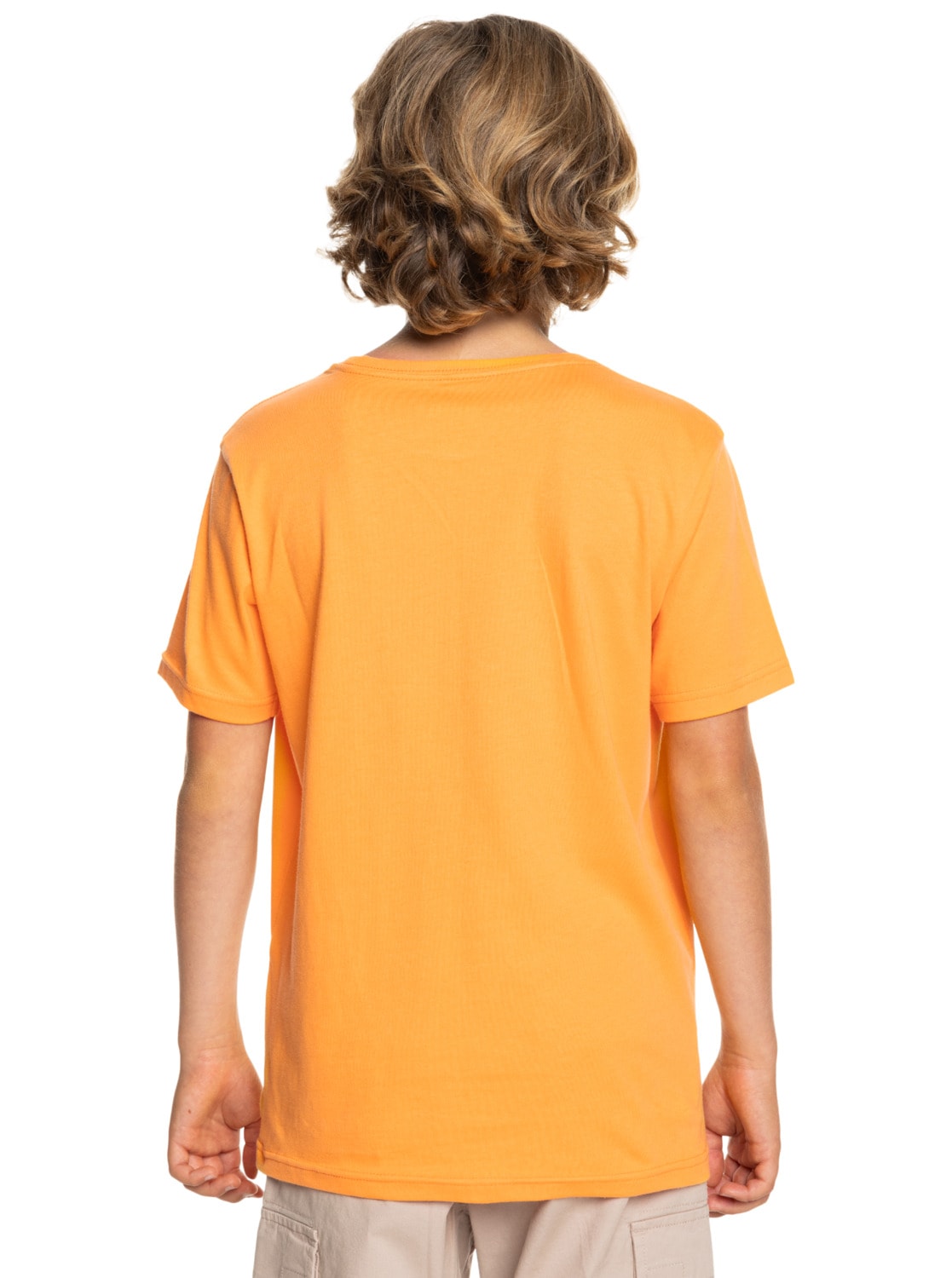 Quiksilver T-Shirt »Basic«