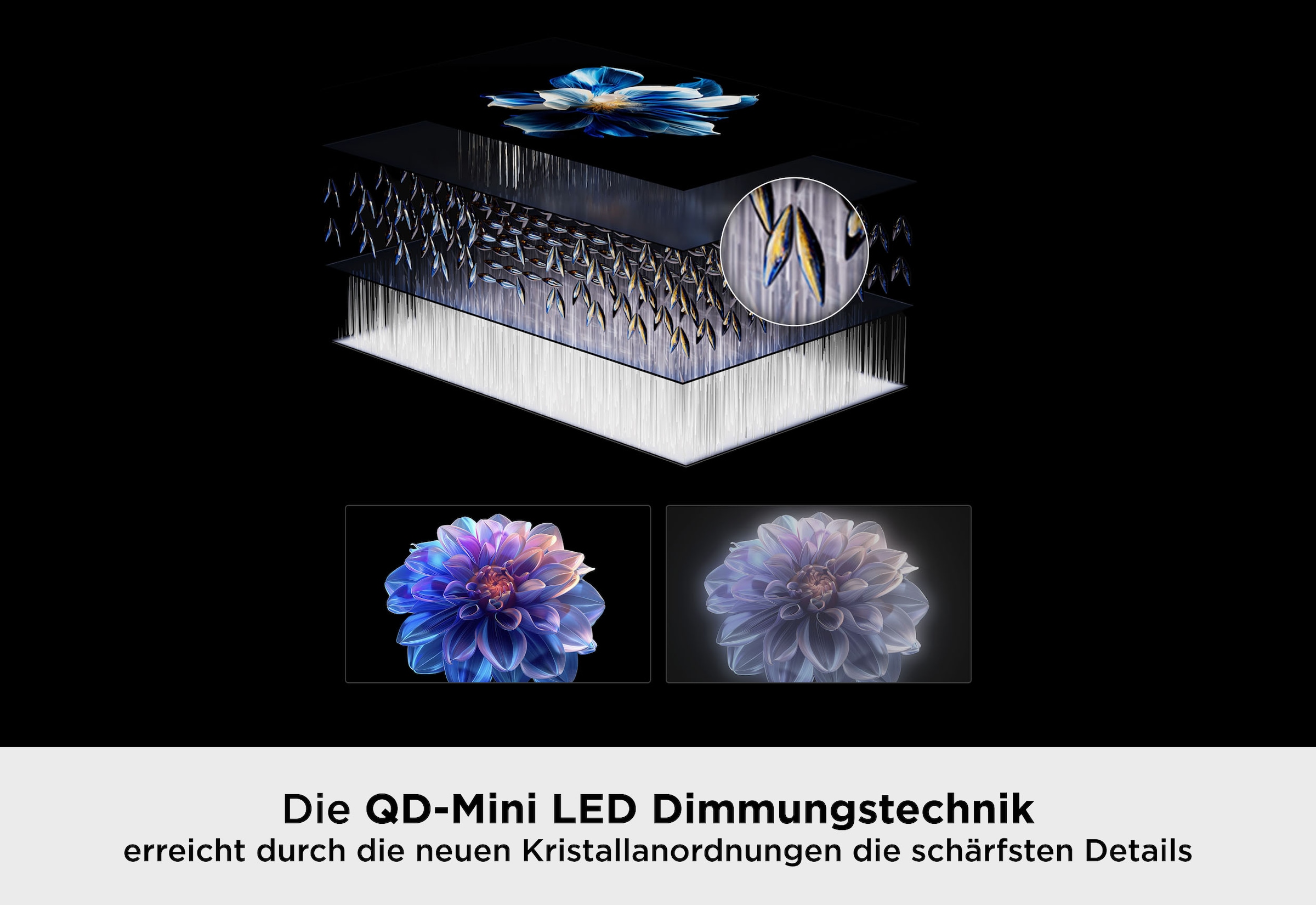 TCL Mini-LED-Fernseher »65T8DXB« 164 cm/65 ″ Smart-TV QD-Mini LED, AiPQ Pro Prozessor, 144Hz, Dolby Atmos, Apple AirPlay 2