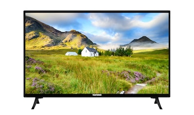Telefunken LED-Fernseher »XH24J101«, 60 cm/24 Zoll, HD-ready kaufen