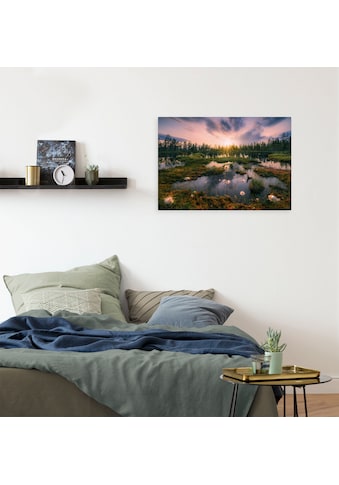 Jetzt Natur Bilder bestellen im OTTO Online Shop