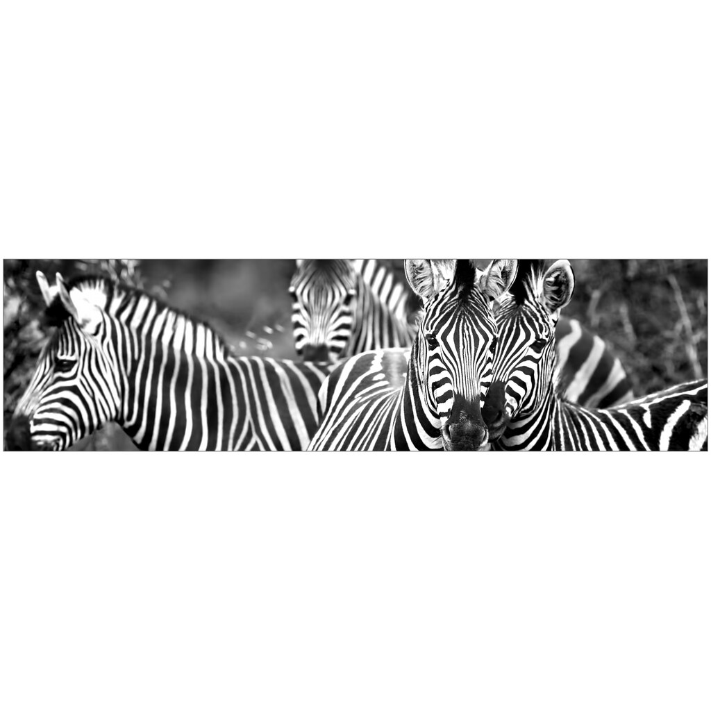 MySpotti Küchenrückwand »fixy Zebra herd«