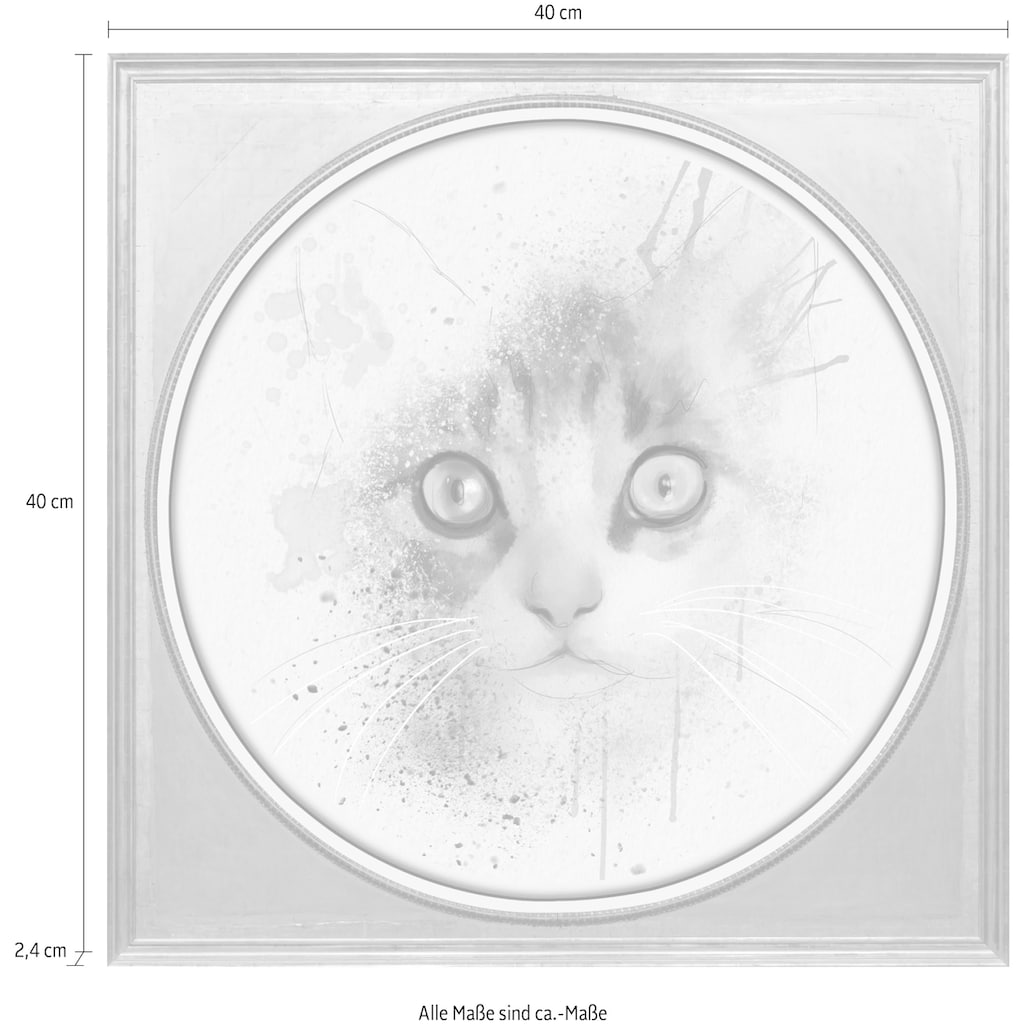 queence Acrylglasbild »Katze«