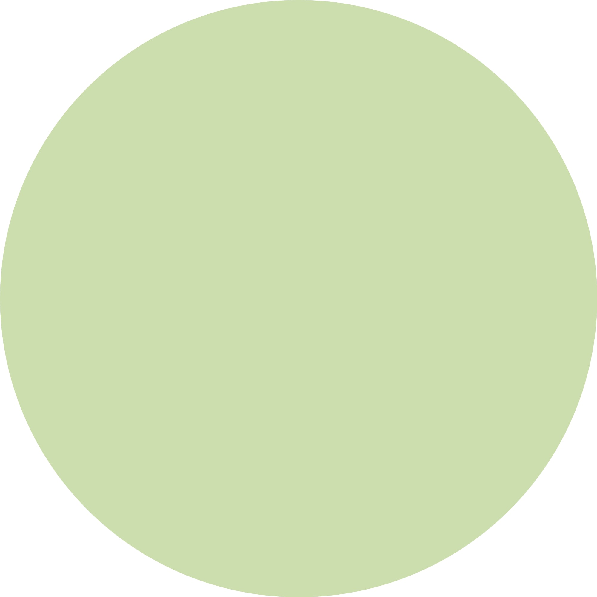 Essence Lidschatten-Primer »jelly GRIP EYESHADOW PRIMER«, (Set, 3 tlg.), 3-tlg., fixierend, langanhalten