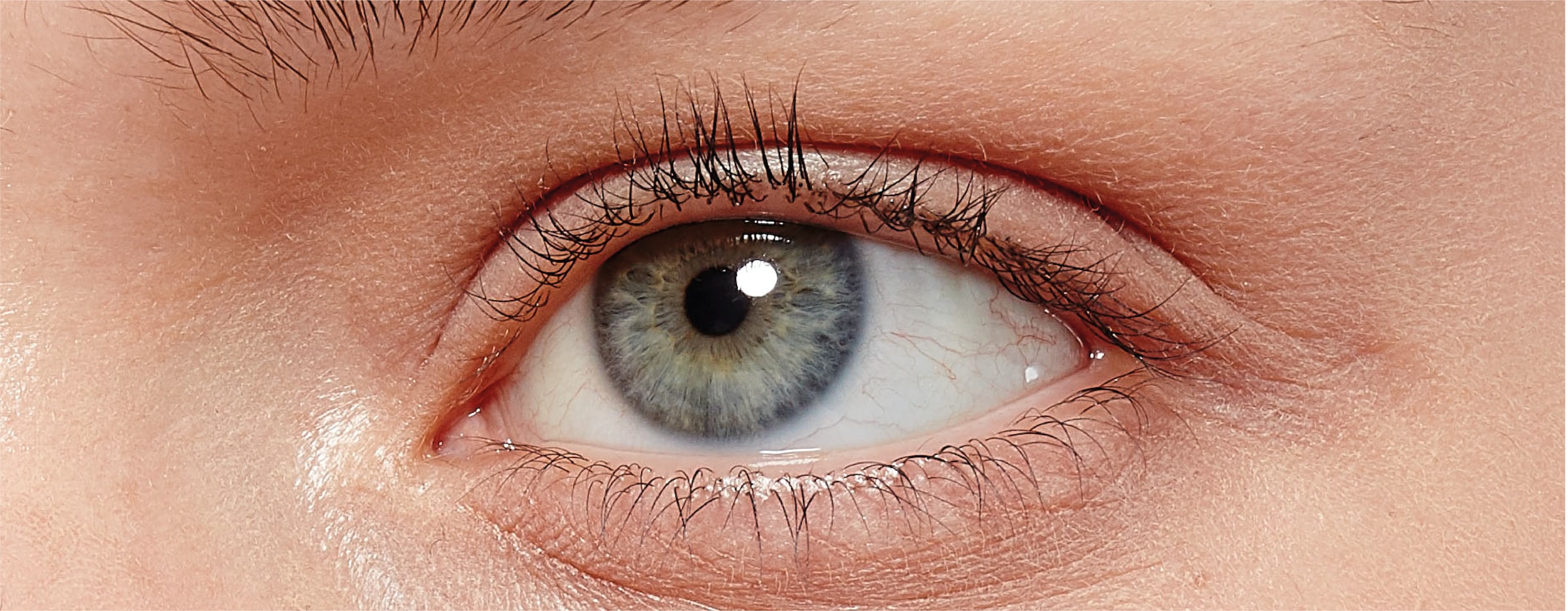 L'ORÉAL PARIS Mascara »False Lash«, mit Lifting-Effekt