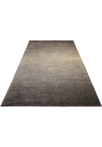 Wecon home Basics Teppich »Raffael«, rechteckig, 8 mm Höhe, Wohnzimmer kaufen
