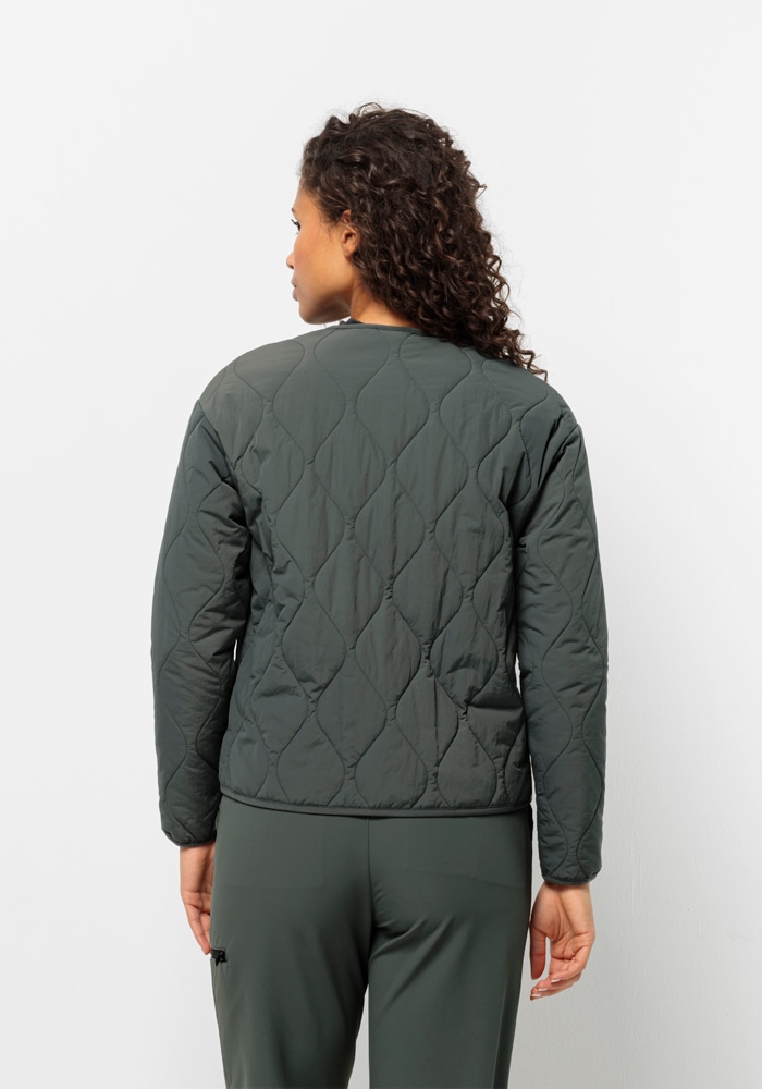 Jack Wolfskin Steppjacke »WANDERMOOD INS JKT W«