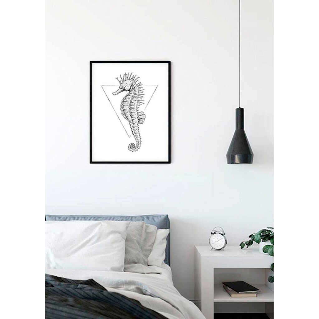 Komar Poster »Sea Horse White«, Tiere, (1 St.)