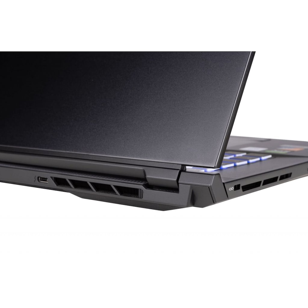 CAPTIVA Gaming-Notebook »Highend Gaming I66-738«, 43,9 cm, / 17,3 Zoll, Intel, Core i7, GeForce RTX 3080, 1000 GB SSD