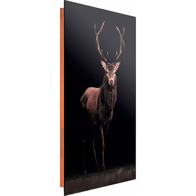 Home affaire Deco-Panel »Hirsch«, 60/90 cm bestellen im OTTO Online Shop