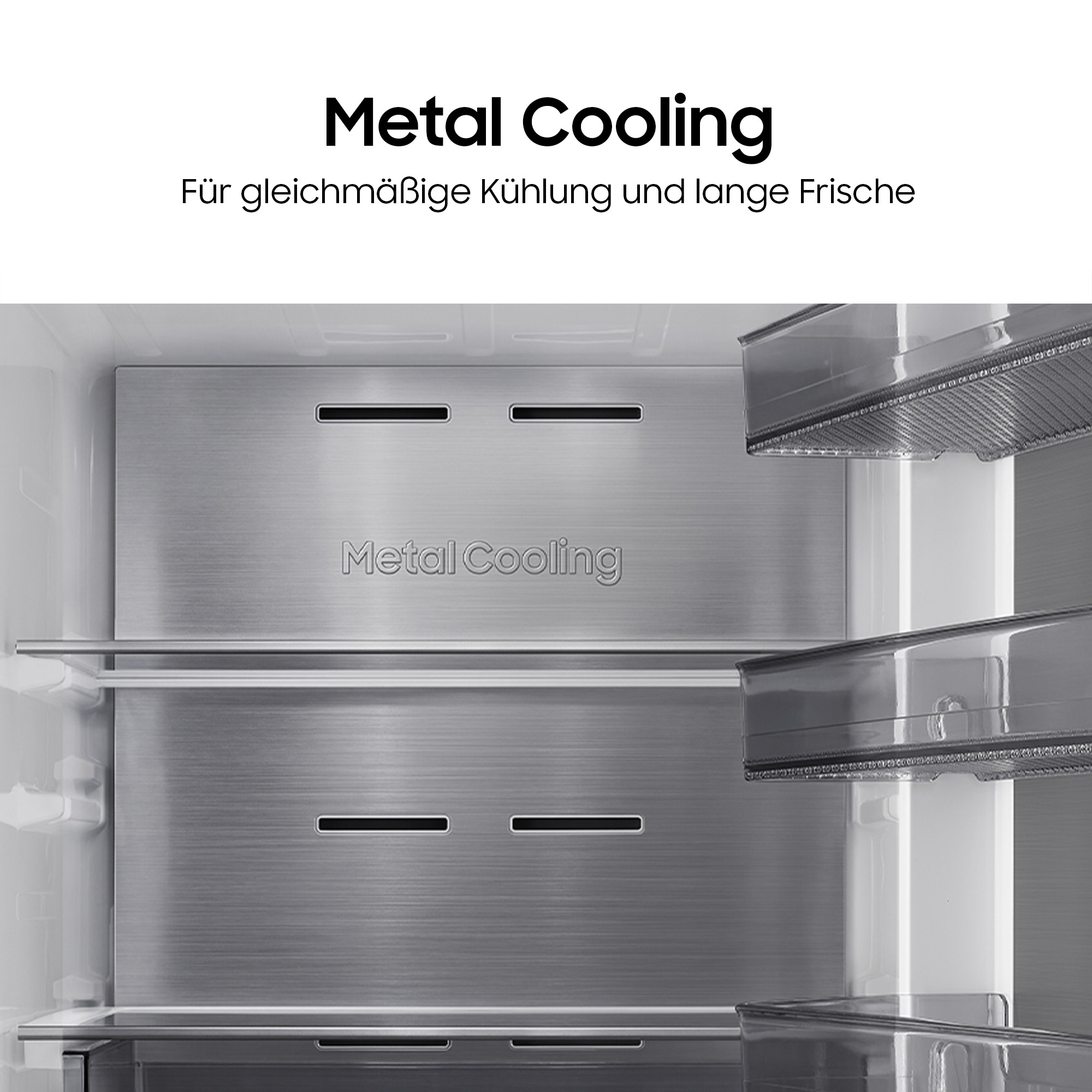 Samsung Gefrierschrank »RZ80H32HDTEF« 185,8 cm hoch 59,5 cm breit No Frost - nie wieder abtauen