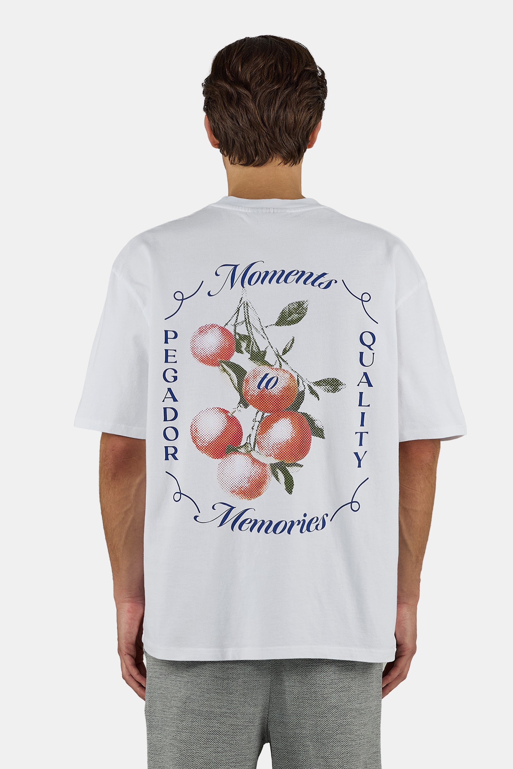 PEGADOR T-Shirt »Frombork Oversized Tee« Baumwolle, oversize