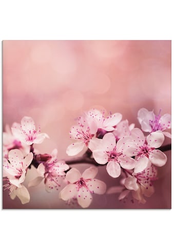 Glasbild »Kirschblüten«, Blumen, (1 St.)