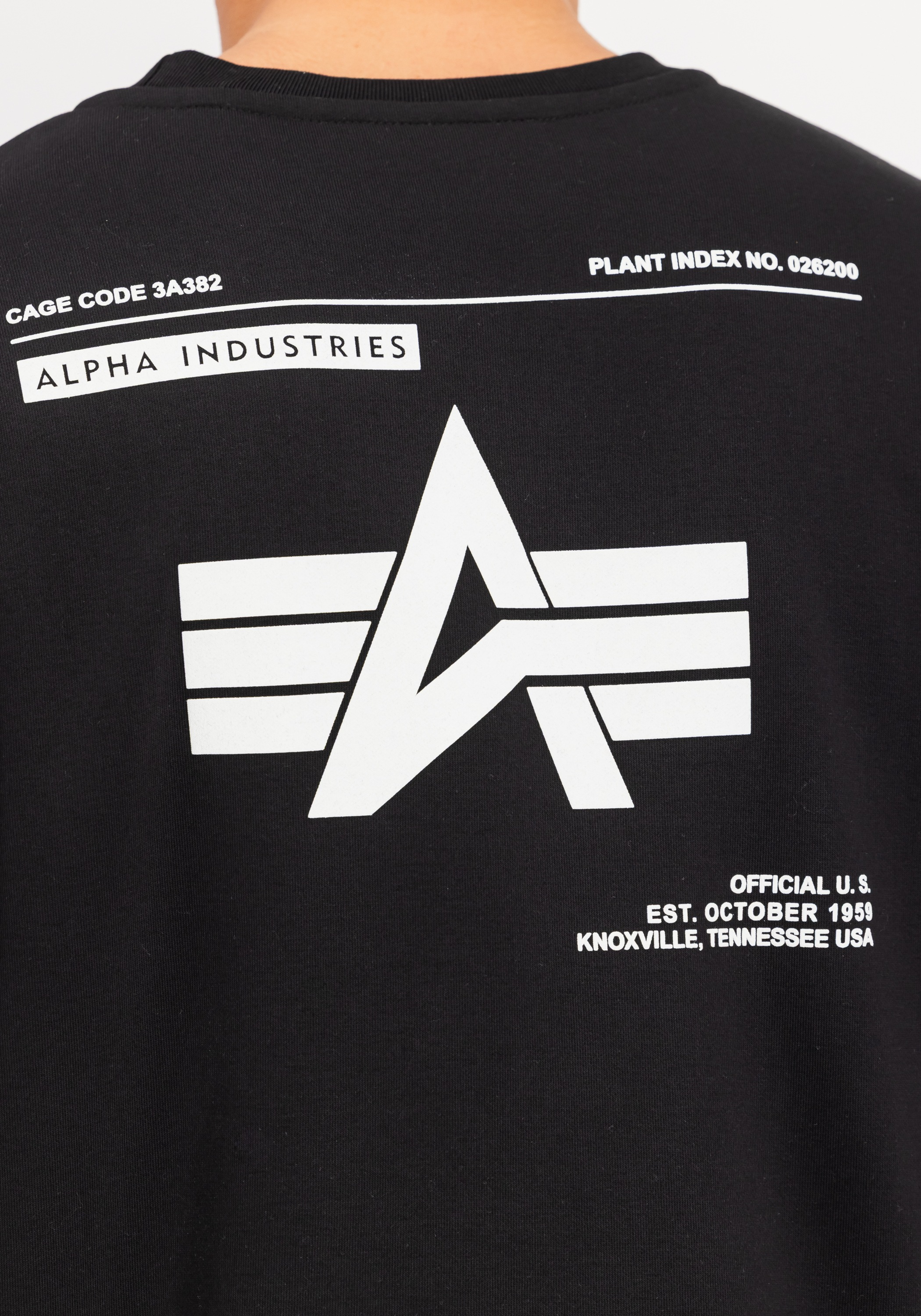 Alpha Industries Sweater »Label Sweatshirt Backprint«

