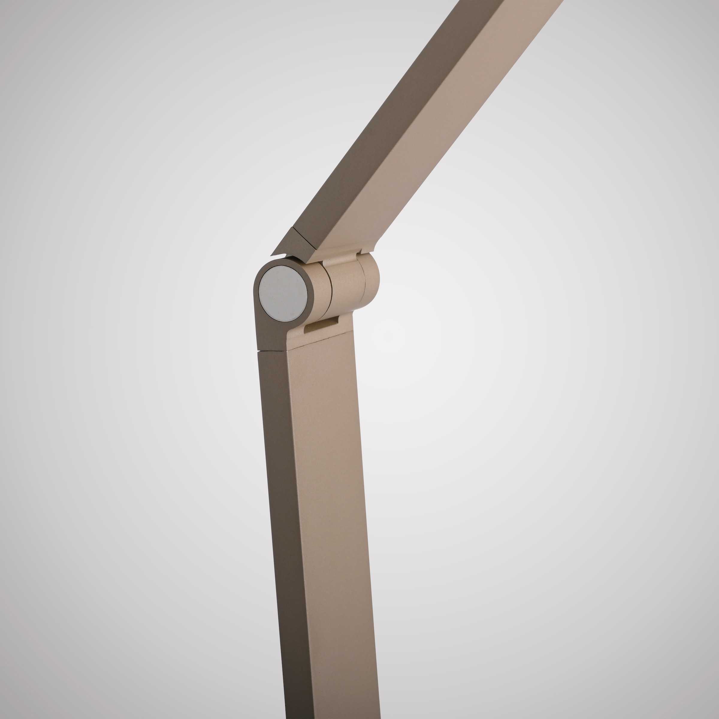 Paul Neuhaus LED Tischleuchte »SAMSKY« LED-Board 1 Stk. warmweiß - kaltweiß Touchdimmer, CCT 2700-5000K, Memoryfunktion, Höhenverstellbar