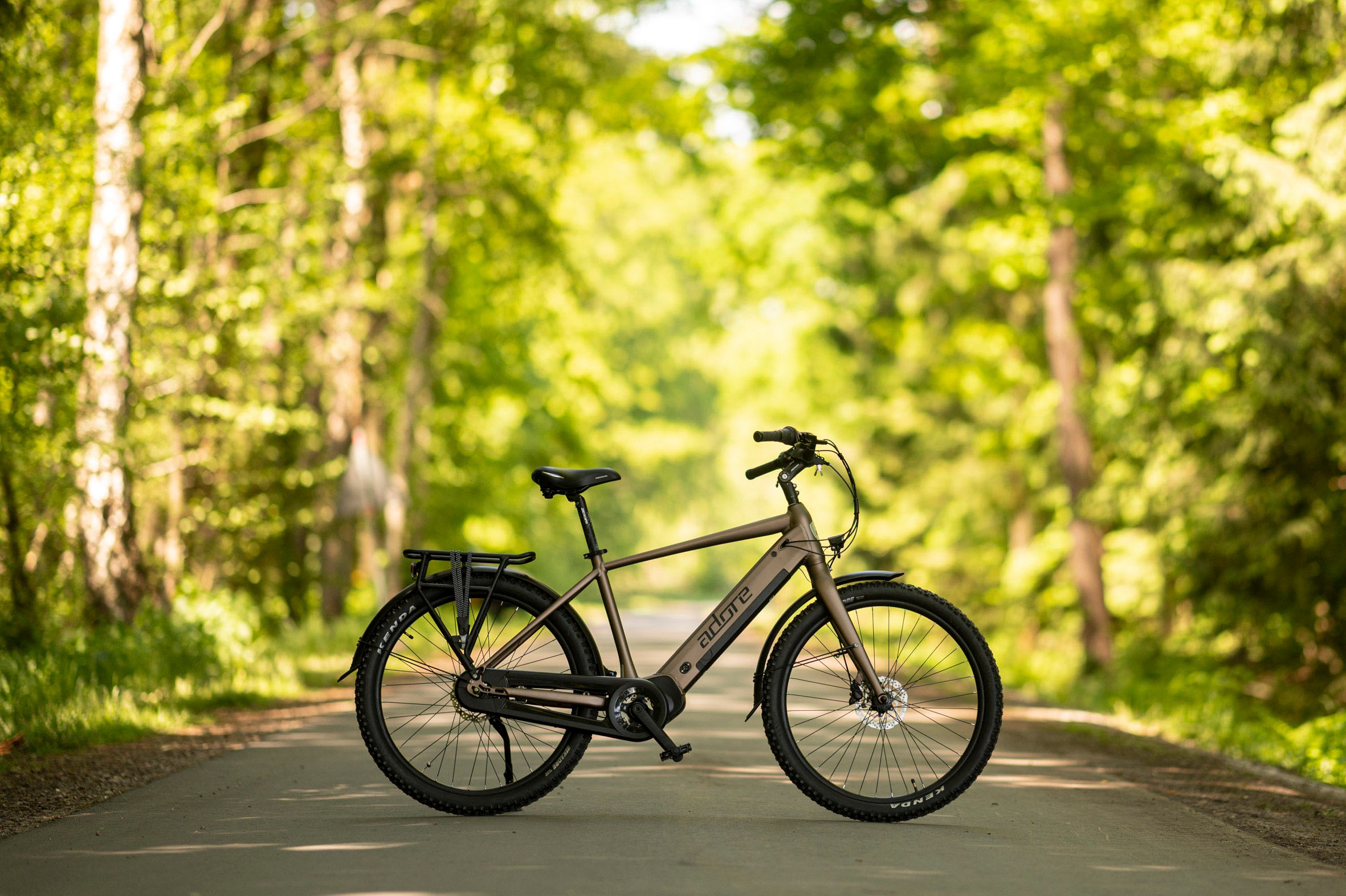 Adore E-Bike »CX-290«, 8 Gang, Shimano, Nexus, Mittelmotor 250 W, Pedelec, Elektrofahrrad für Damen u. Herren