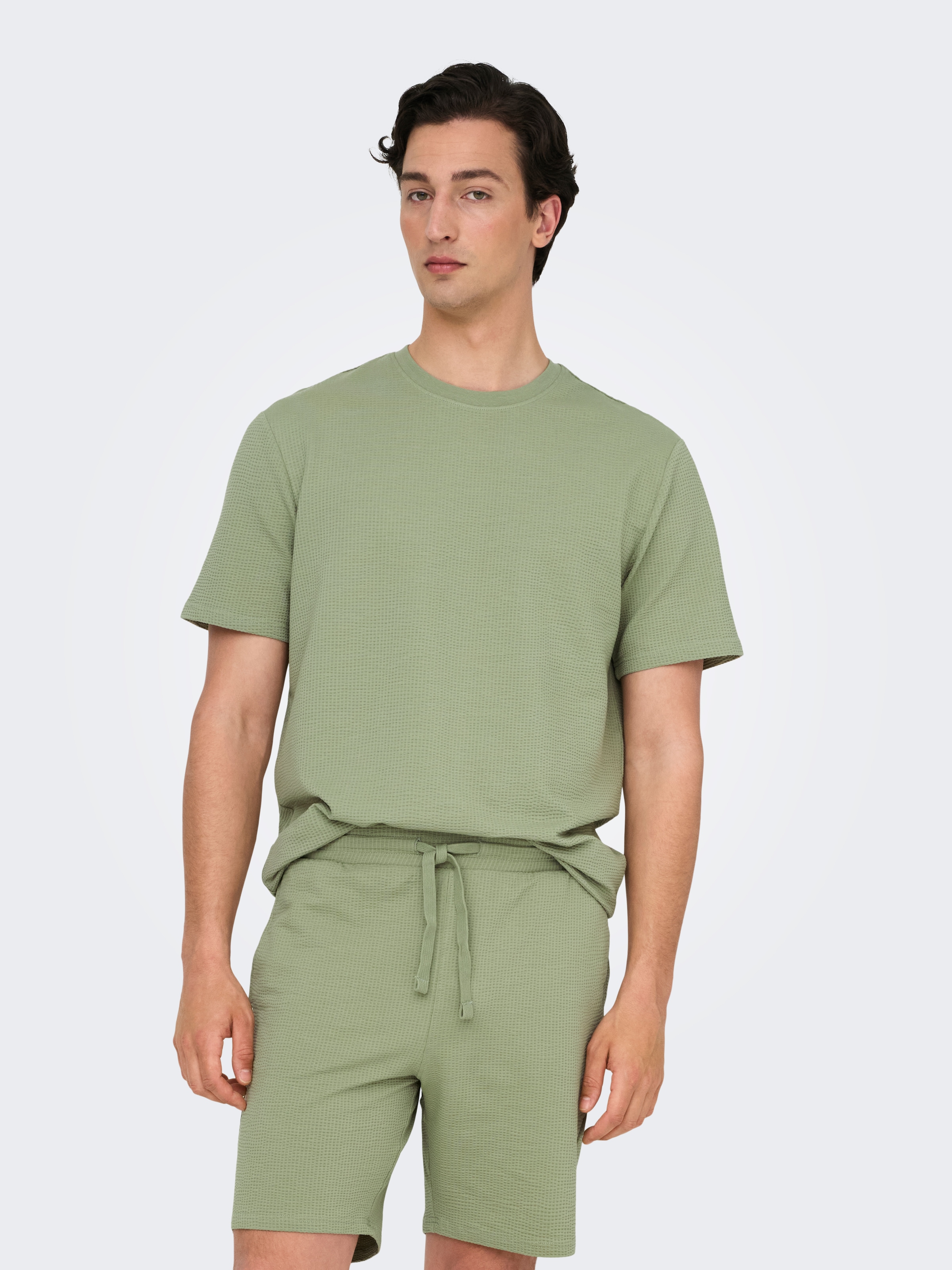 ONLY & SONS Rundhalsshirt »ONSKIAN LIFE REG SEERSUCKER SS TEE NOOS«