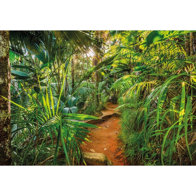Komar Fototapete »Jungle Trail«, 368x254 cm (Breite x Höhe), inklusive  Kleister kaufen bei OTTO