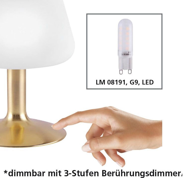 Paul Neuhaus LED Tischleuchte »Till«, 1 flammig, Leuchtmittel G9 | LED wechselbar, 3-Stufen Touchdimmer