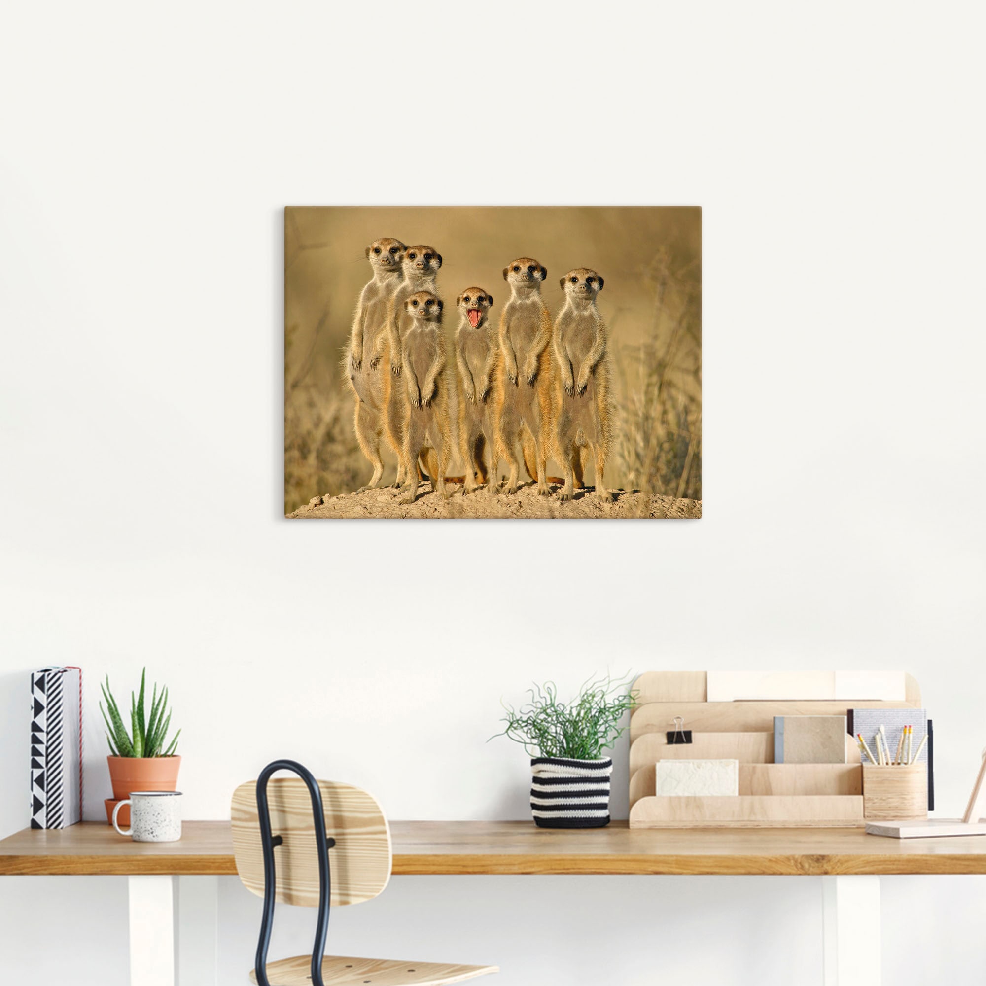 Artland Wandbild »Erdmännchen Familie«, Wildtiere, (1 St.), als Alubild, Outdoorbild, Leinwandbild, Poster, Wandaufkleber
