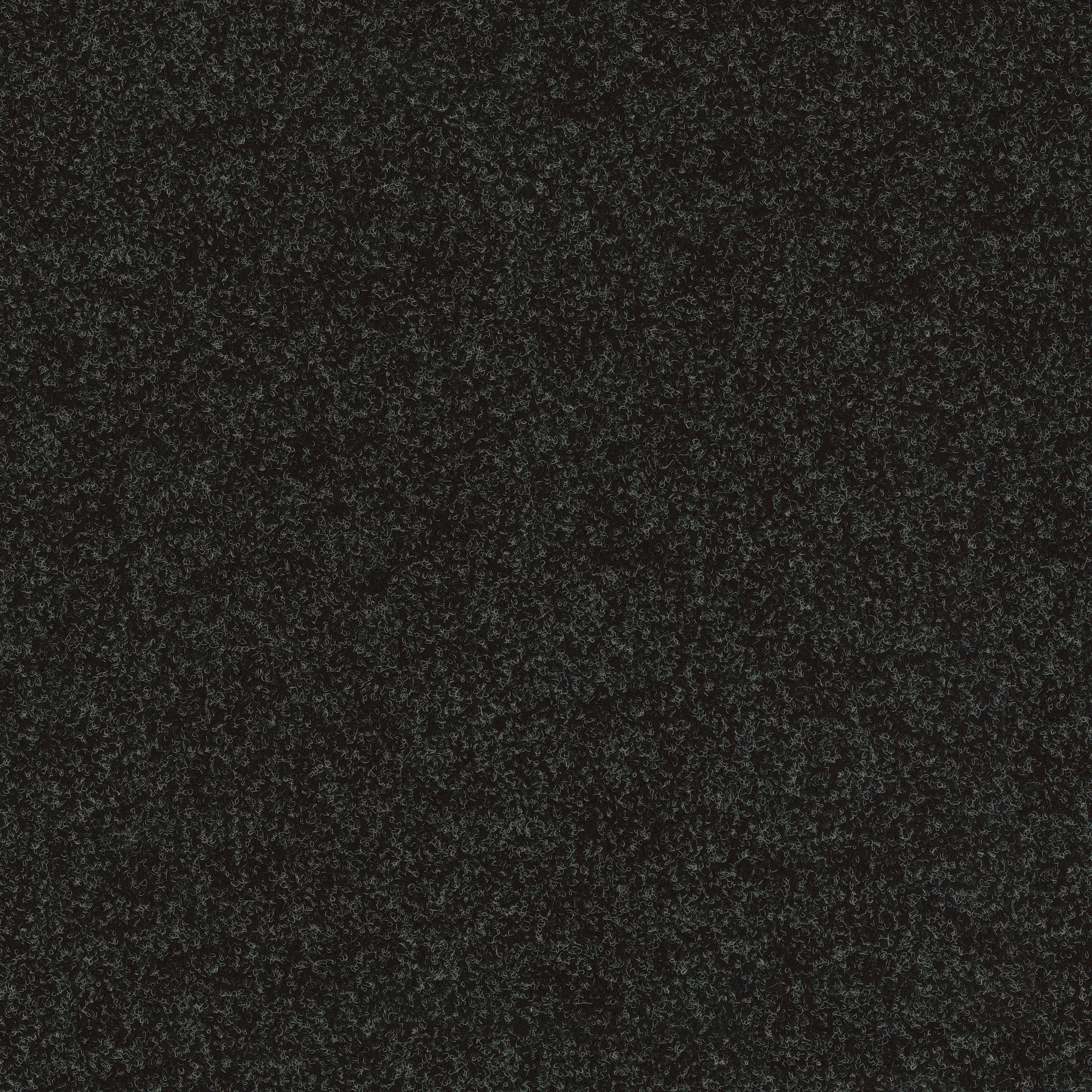 my home Teppichfliese Stück, »Maine«, OTTO quadratisch, Fliese, kaufen 1 50x50 selbstliegend, 1m², 5m², Wohnzimmer bei cm